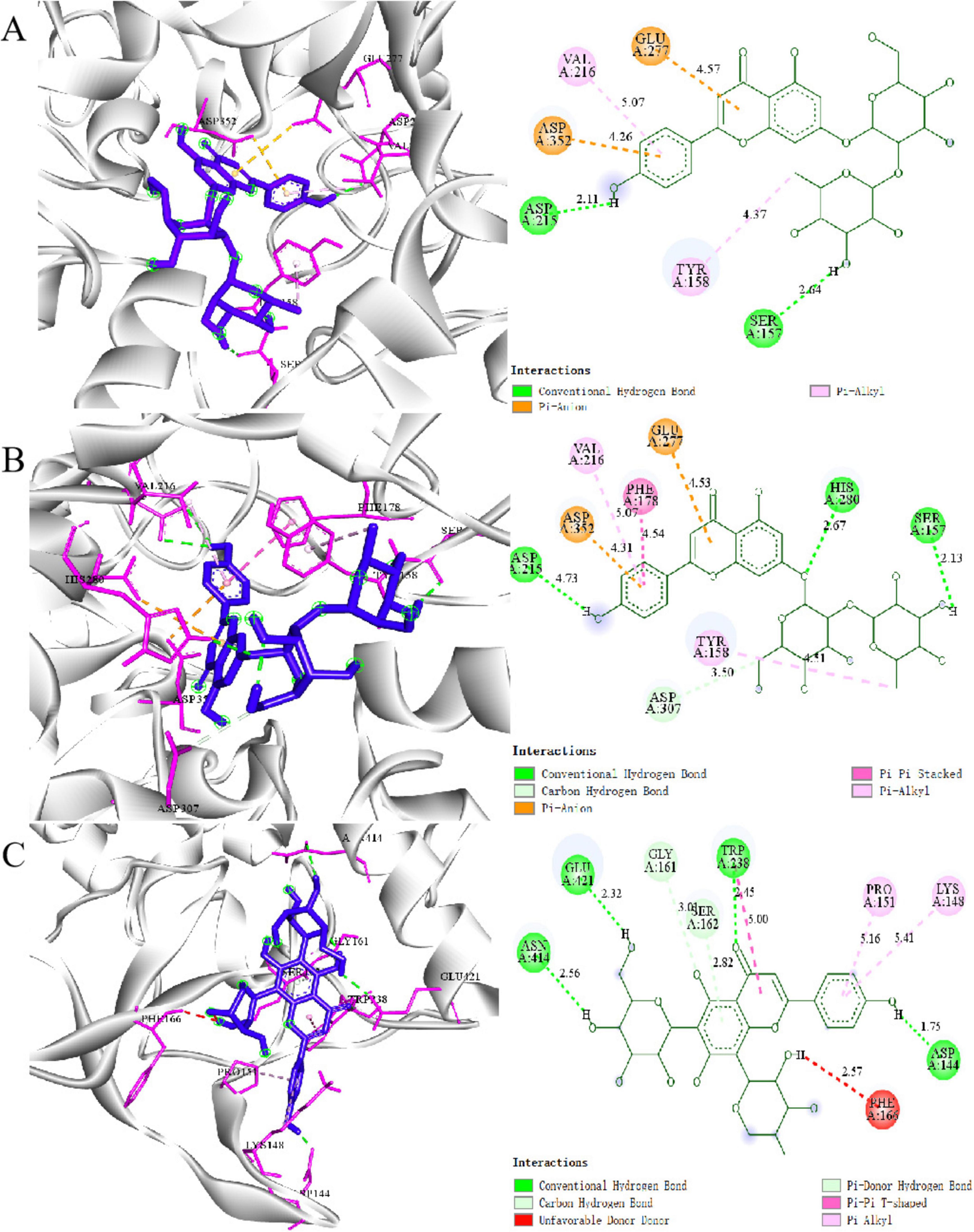 Molecular visualization of ligand interactions with proteins, labeled A, B, and C. Each panel shows the 3D structure on the left, with ligands in color-coded stick format and surrounding protein structures in grey. The right side contains 2D interaction diagrams, highlighting bonds and molecular interactions, such as hydrogen bonds and Pi interactions, using color-coded labels and lines. Various amino acids and bond types are annotated, with legends explaining interaction types.