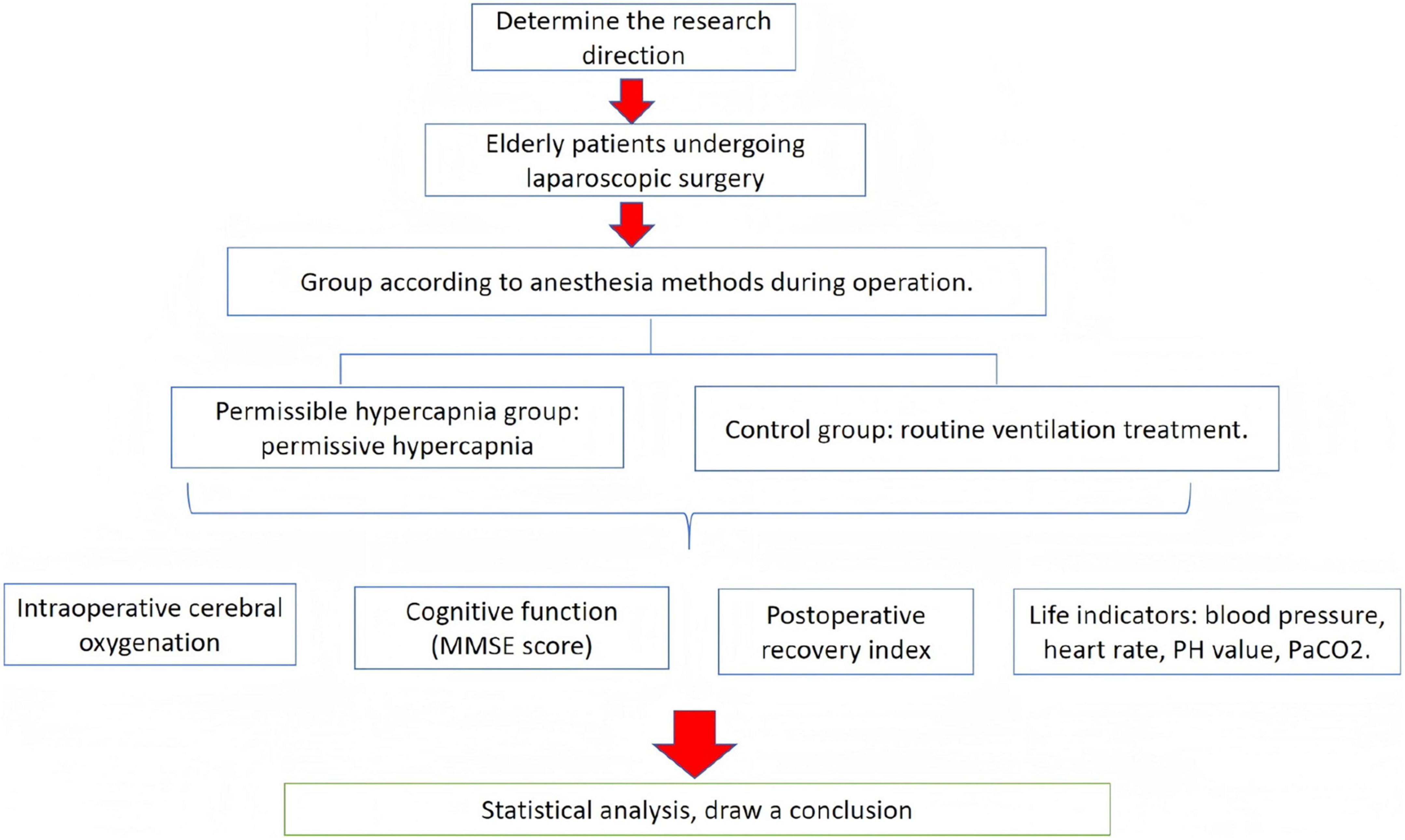Flowchart illustrating a study design starting with determining research direction. Participants are elderly patients undergoing laparoscopic surgery. They are split into two groups based on anesthesia: one group receives permissive hypercapnia and the other receives routine ventilation. Outcomes measured include intraoperative cerebral oxygenation, cognitive function (MMSE score), postoperative recovery index, and life indicators such as blood pressure, heart rate, pH value, and PaCO2. The process concludes with statistical analysis and conclusion drawing.