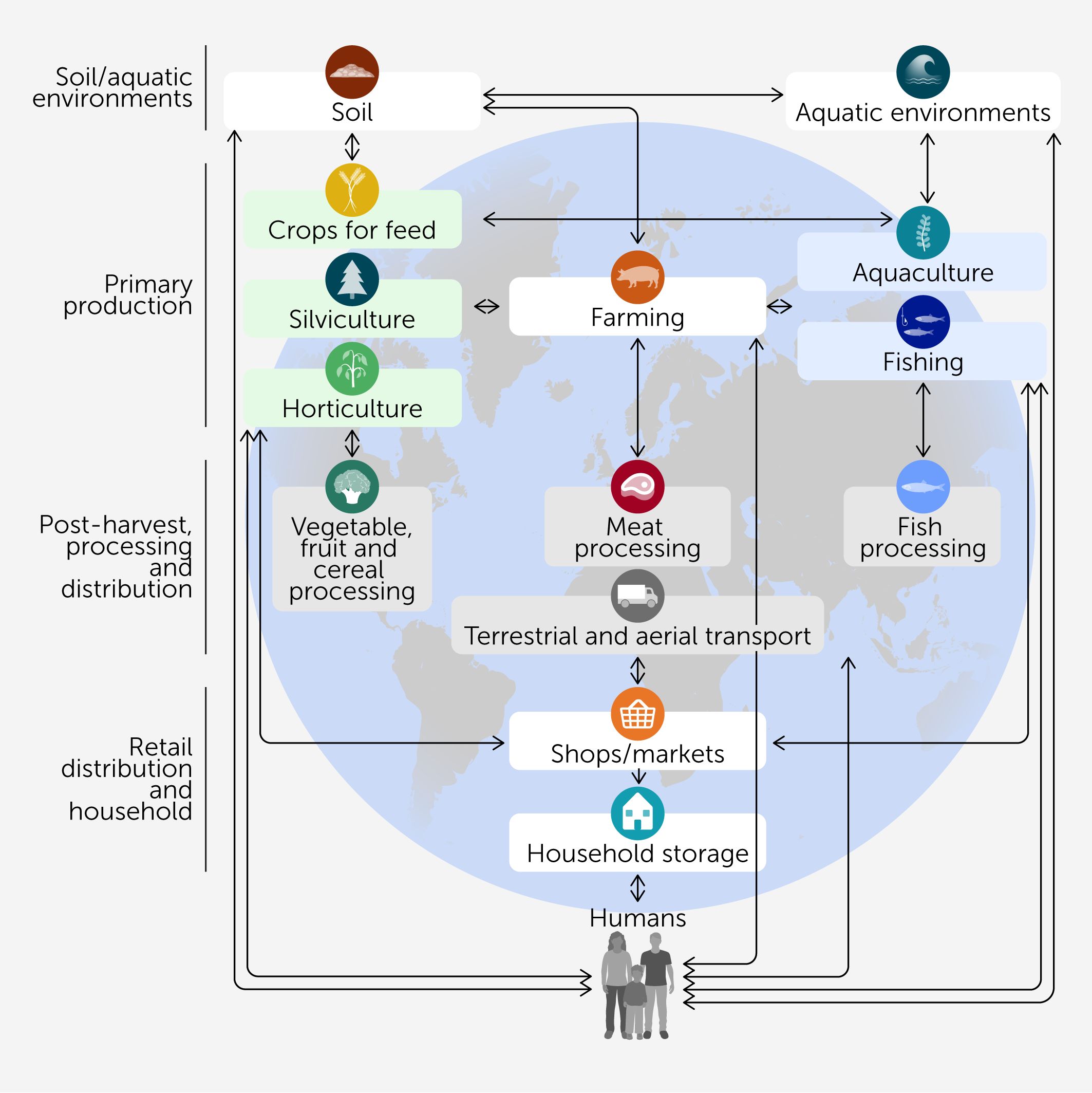 Flowchart illustrating food production and distribution. It starts with soil and aquatic environments leading to primary production activities like farming, aquaculture, and fishing. These processes connect to meat, vegetable, and fish processing. Transport occurs through terrestrial and aerial means to shops and markets, followed by household storage. Humans are the final recipients. Arrows indicate the flow between stages.