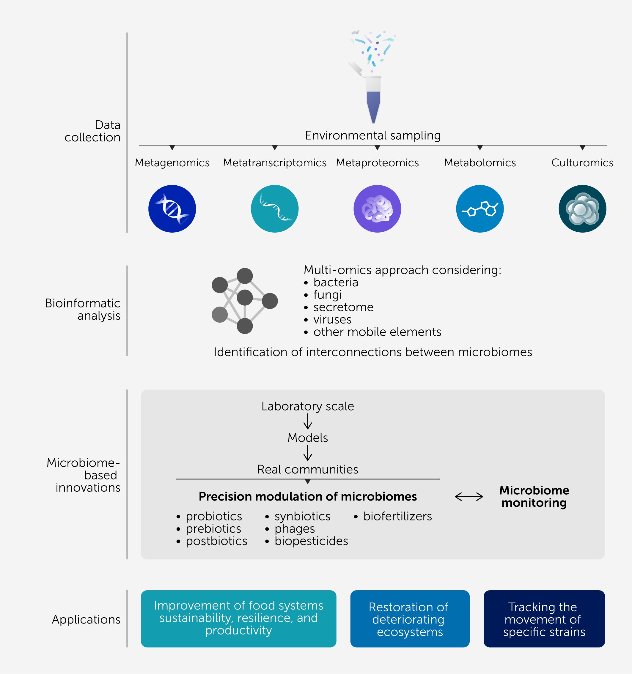 Flowchart illustrating microbiome research. Begins with environmental sampling using metagenomics, metatranscriptomics, metaproteomics, metabolomics, and culturomics. Bioinformatic analysis identifies interconnections between microbiomes, considering bacteria, fungi, secretome, viruses, and other elements. Innovations move from laboratory scale to real communities, focusing on microbiome modulation with probiotics, synbiotics, biofertilizers, and more. Applications include improving food systems, restoring ecosystems, and tracking strains.
