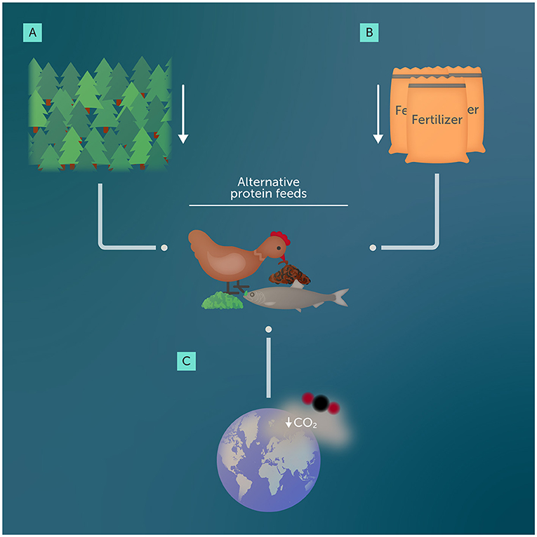 Figure 1 - Alternative protein feeds, like the black soldier fly larvae being eaten by the chicken and the algae-based food eaten by the fish, provide animals with good nutrition while using fewer natural resources and protecting the environment.