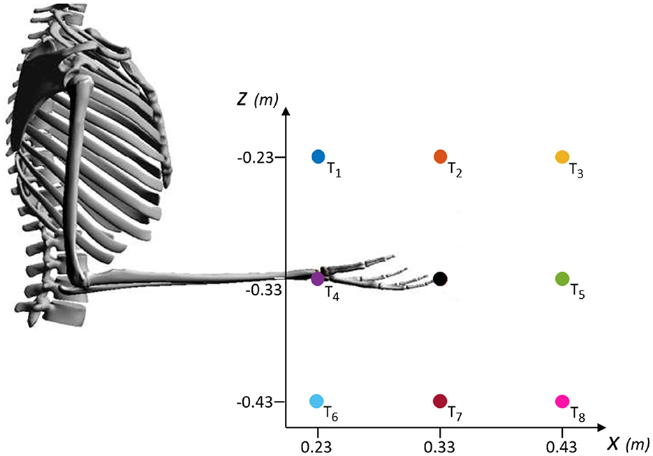 An illustration shows a skeleton's upper torso and arm aligned with a target schematic. The colored target points are labeled T1 to T8, with axes X and Z representing meters. The skeleton's hand points towards these target points.