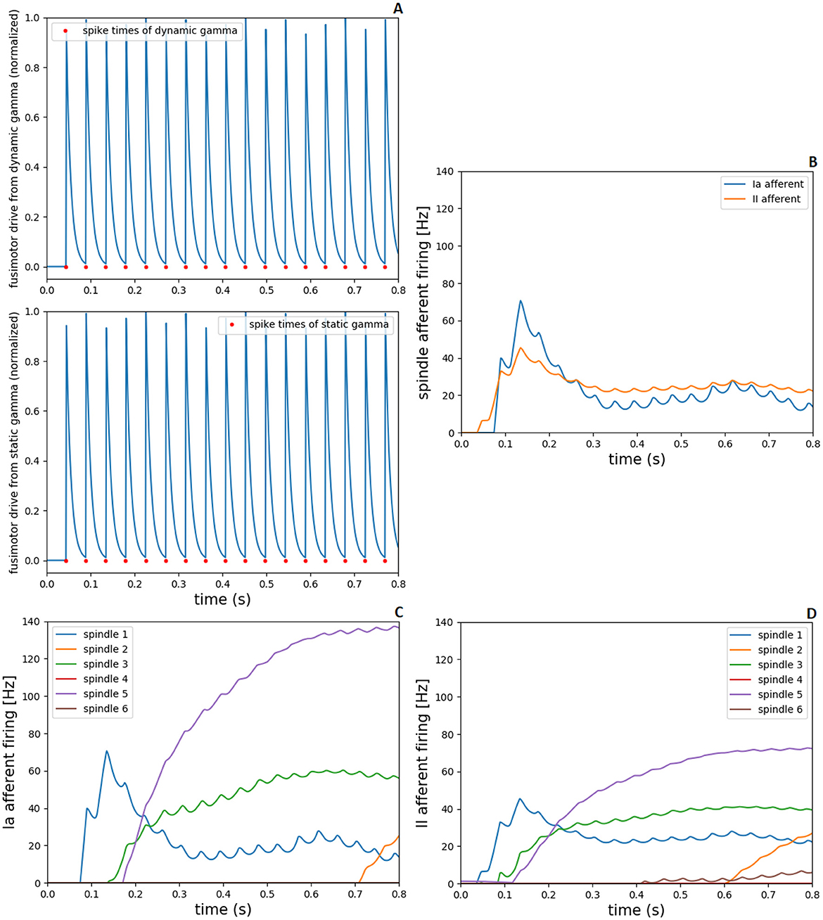 Graphs showing neural activity related to gamma drive and spindle firing: A) Dynamic and static gamma motor drives with spike times marked. B) Comparison of Ia and II afferent firing rates over time. C) Ia afferent firing rates for six spindles over time. D) II afferent firing rates for the same six spindles over time.