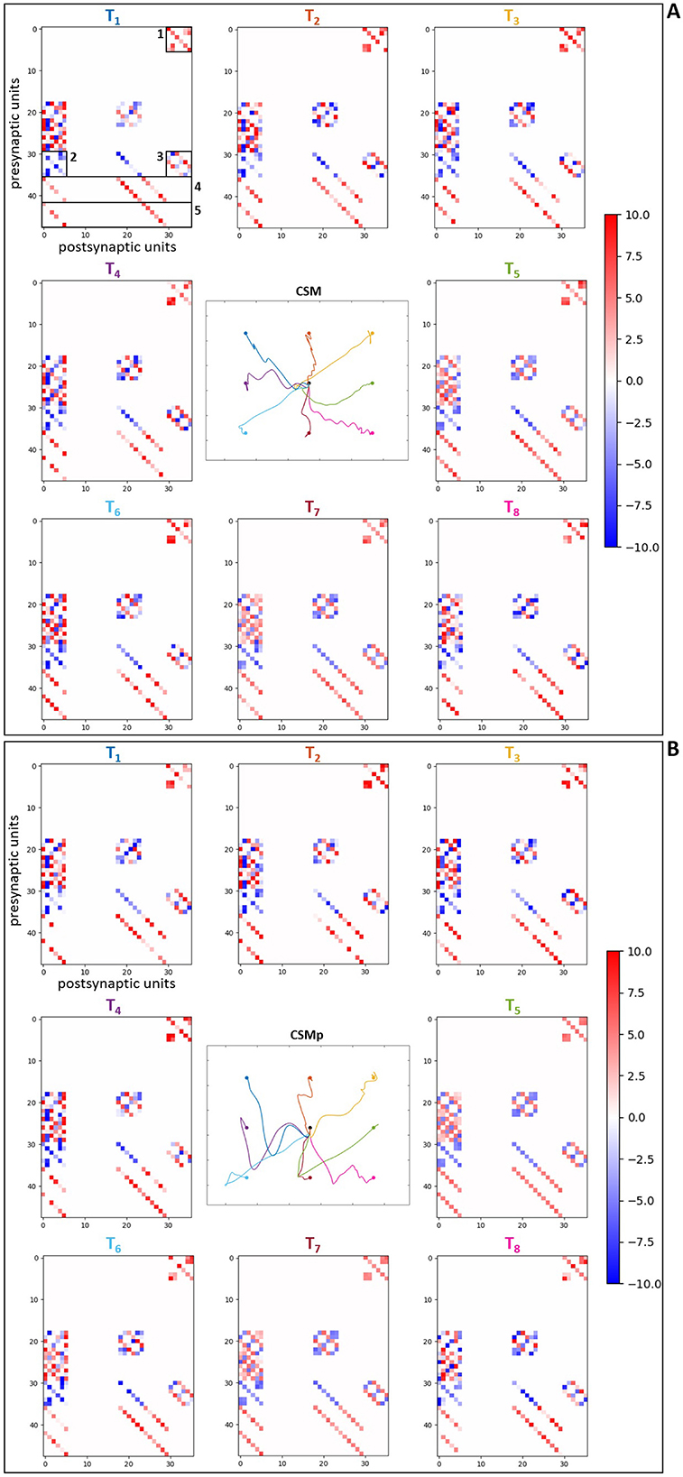 Color-coded matrices labeled T1 to T8 displaying connections between postsynaptic and presynaptic units. Panels A and B contain similar layouts, with a central plot labeled CSM and CSMp showing the resulting trajectories. Color bars indicate value ranges from –10.0 (blue) to 10.0 (red), highlighting data variations across matrices.
