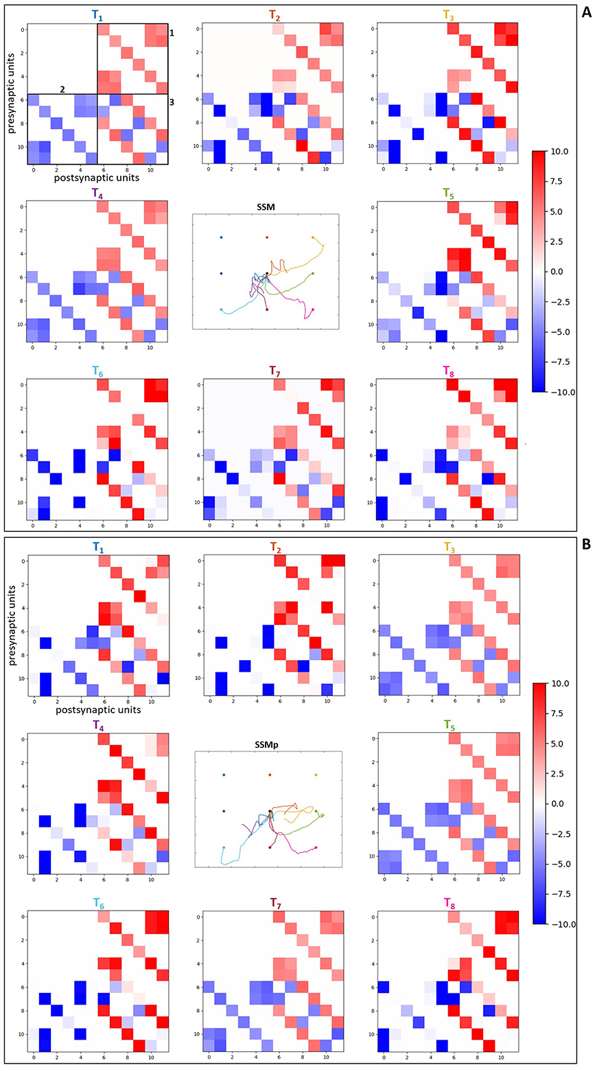 Color-coded matrices displaying synaptic strength between presynaptic and postsynaptic units across different target points (T1-T8) in panels A and B. Colors range from blue to red, indicating strength, with a central plot labeled “SSM” and “SSMp” for resulting trajectory visualization.