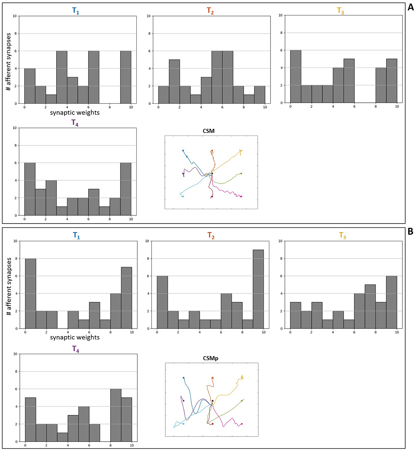 Two panels, A and B, each containing four histogram charts and one plot. Panel A displays histograms labeled T1, T2, T3, and T4 showing the distribution of synaptic weights against the number of afferent synapses. Accompanying is a plot labeled CSM with resulting trajectories. Panel B shows similar histograms labeled T1, T2, T3, and T4 with variations in synaptic weight distribution, alongside another plot labeled CSMp with distinct resulting trajectories. Each histogram illustrates different patterns of synaptic strength.