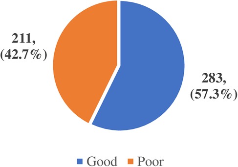 Pie chart showing two segments: blue for \