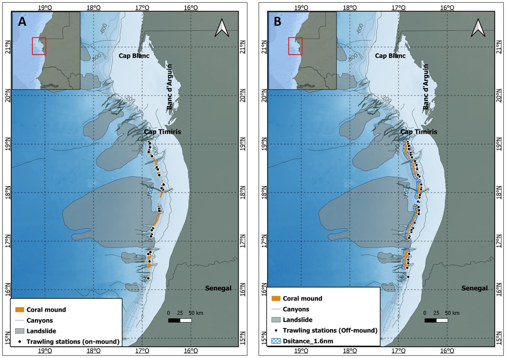 Maps of the region around Cap Blanc, Banc d'Arguin, and Cap Timiris in Mauritania, displaying geographical features and trawling stations. Map A highlights coral mounds, canyons, landslides, and on-mound trawling stations, while Map B features off-mound trawling stations and a marked distance of 1.6 nautical miles. Insets show the location within a broader regional context.