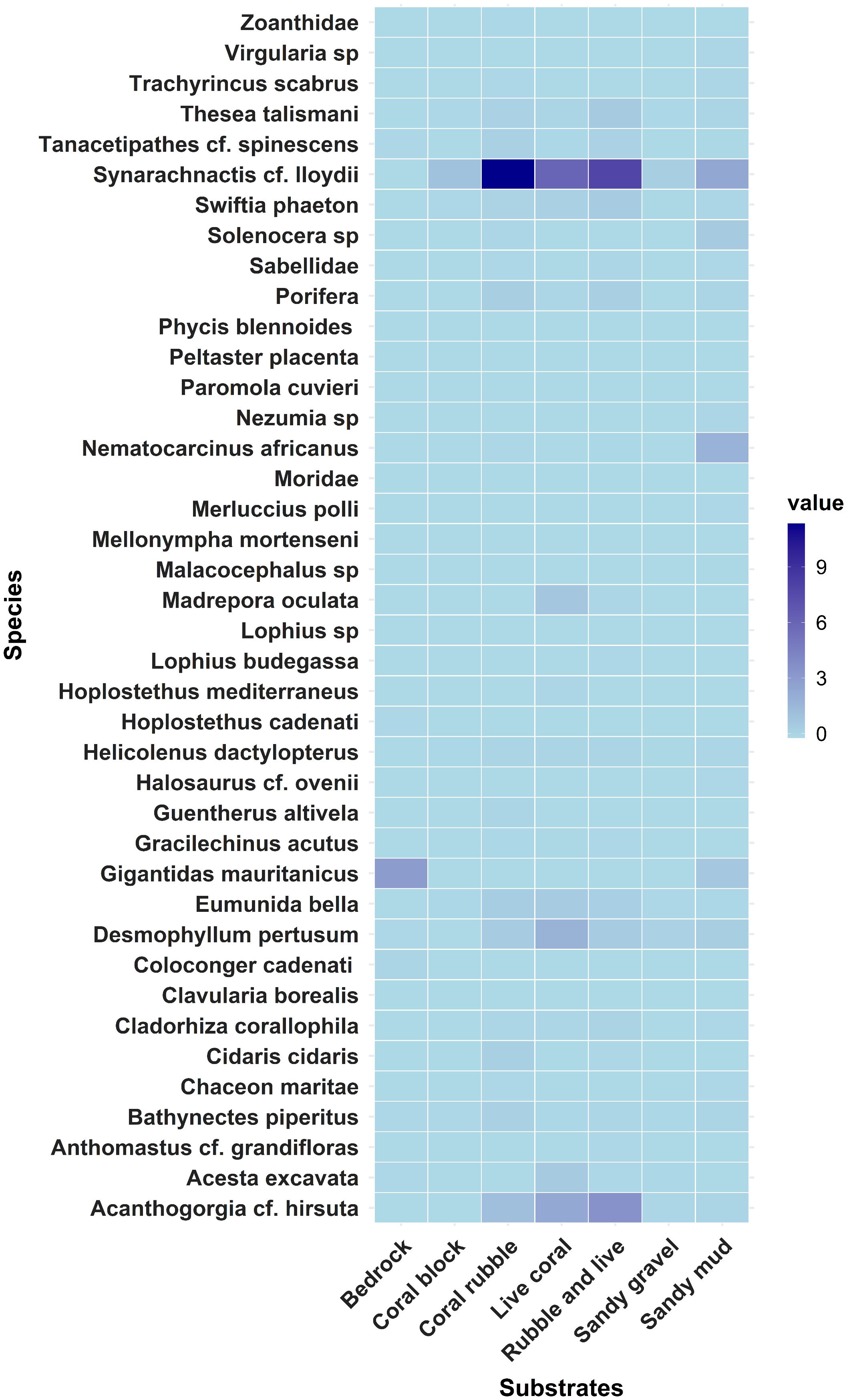Heatmap displaying species presence across different substrates with a gradient from light blue (value 0) to dark blue (value 9). Notable species with higher values include Synarachnactis cf. loydii on live coral, Nematocarcinus africanus on sandy mud, and Gracilechinus acutus on sandy gravel.