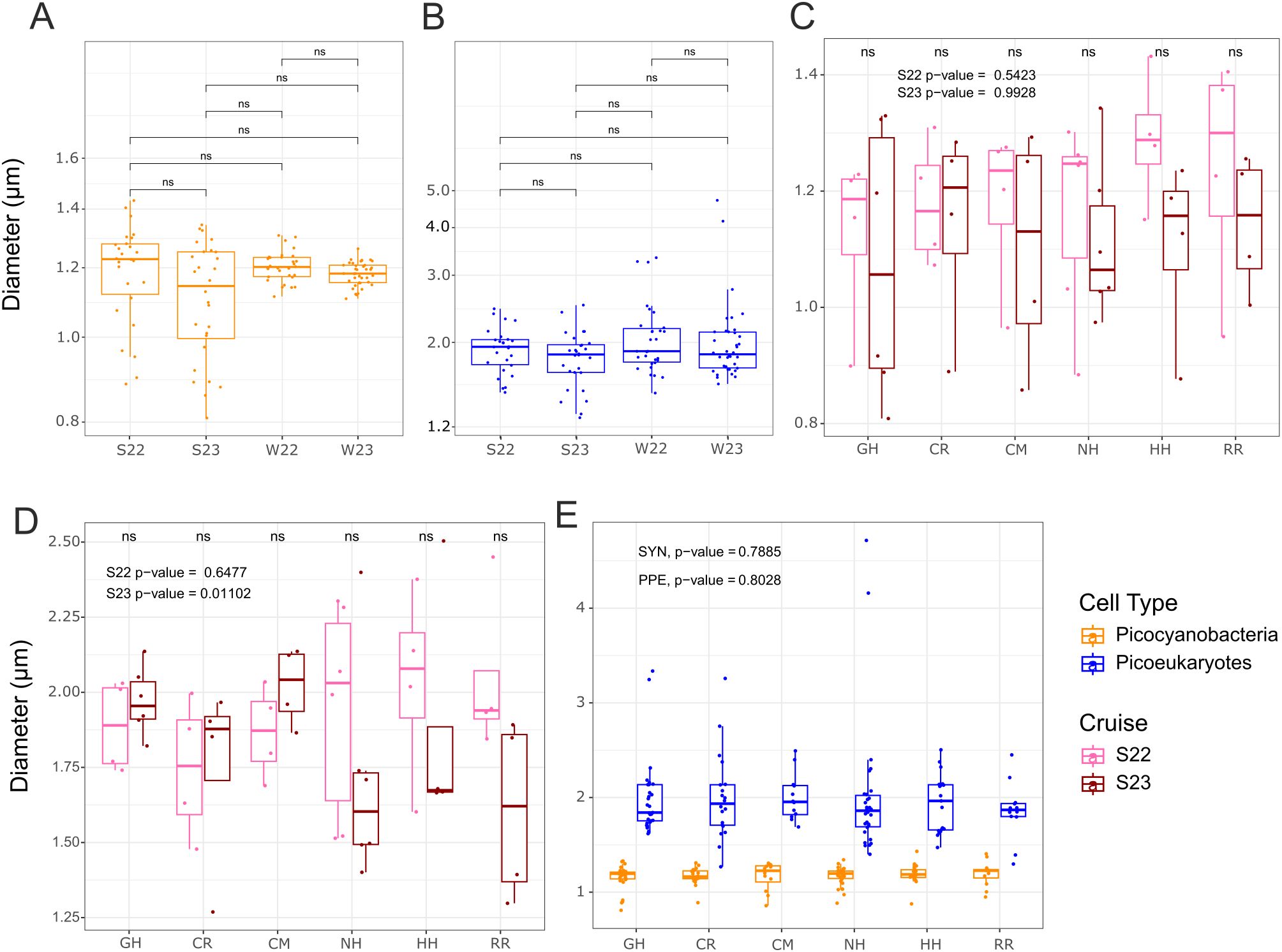 Box plots labeled A to E show cell diameter measurements in micrometers for different groups. Diagrams A and B compare cell types Picocyanobacteria and Picoeukaryotes across cruise events S22, S23, W22, and W23. Diagrams C and D illustrate variations across locations GH, CR, CM, NH, HH, and RR, categorizing cruises as S22 and S23. Diagram E plots both cell types across the same locations. P-values are noted, with some indicating no significant differences. The legend identifies cell types and cruises by color and pattern.