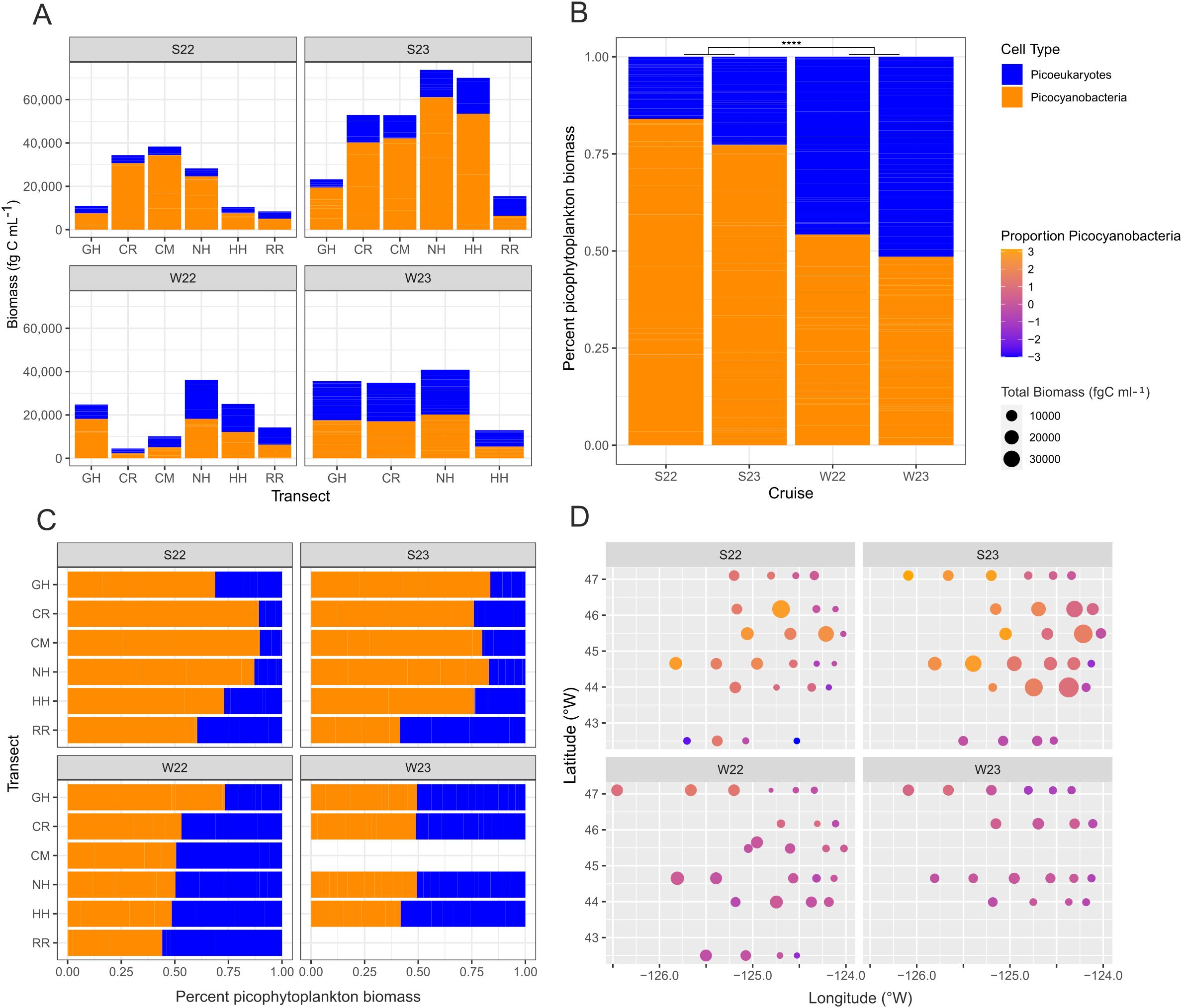 Four-panel diagram showing various aspects of picophytoplankton biomass data. Panel A: Bar graphs displaying biomass in different transects for cruises S22, S23, W22, W23, with orange for picocyanobacteria and blue for picoeukaryotes. Panel B: Stacked bar chart showing percent picophytoplankton biomass by cruise, using the same color scheme. Panel C: Horizontal bar graphs show percent picophytoplankton biomass across transects for the four cruises. Panel D: Bubble plots indicating biomass distribution by latitude and longitude, with bubble size reflecting total biomass and color indicating proportion of picocyanobacteria.