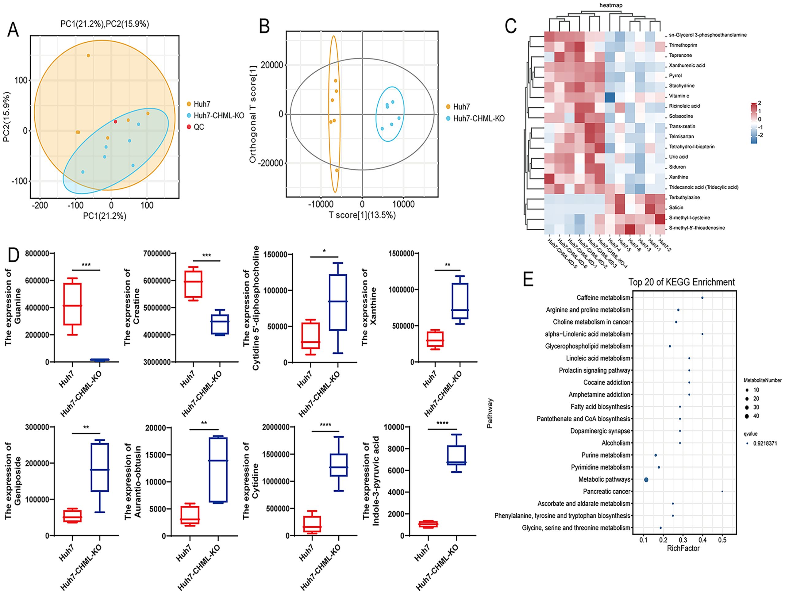 Panel A shows a PCA plot differentiating Huh7 and Huh7-CHML-KO groups. Panel B presents an orthogonal T score plot. Panel C contains a heatmap of metabolite expression levels. Panel D displays box plots of specific metabolite expressions in Huh7 and Huh7-CHML-KO, with significant differences marked. Panel E illustrates a KEGG enrichment bubble plot, indicating pathways enriched in examined groups.