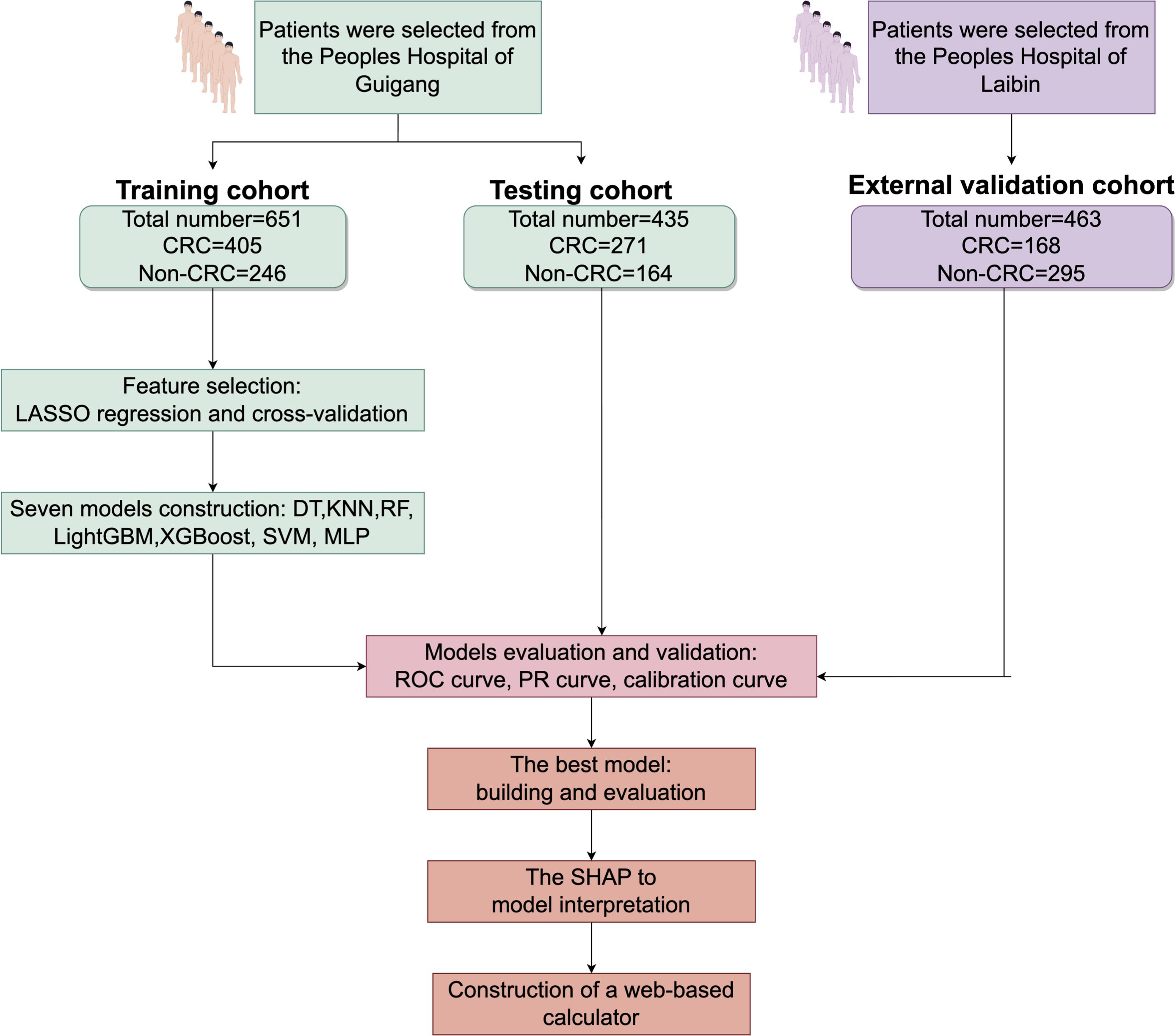 Flowchart depicting the process of selecting patients from two hospitals for training, testing, and external validation cohorts. The training cohort has 651 patients, the testing cohort has 435, and the external validation cohort has 463. It includes feature selection with LASSO regression, seven models construction, models evaluation and validation with ROC, PR, and calibration curves, and concludes with model interpretation using SHAP and constructing a web-based calculator.