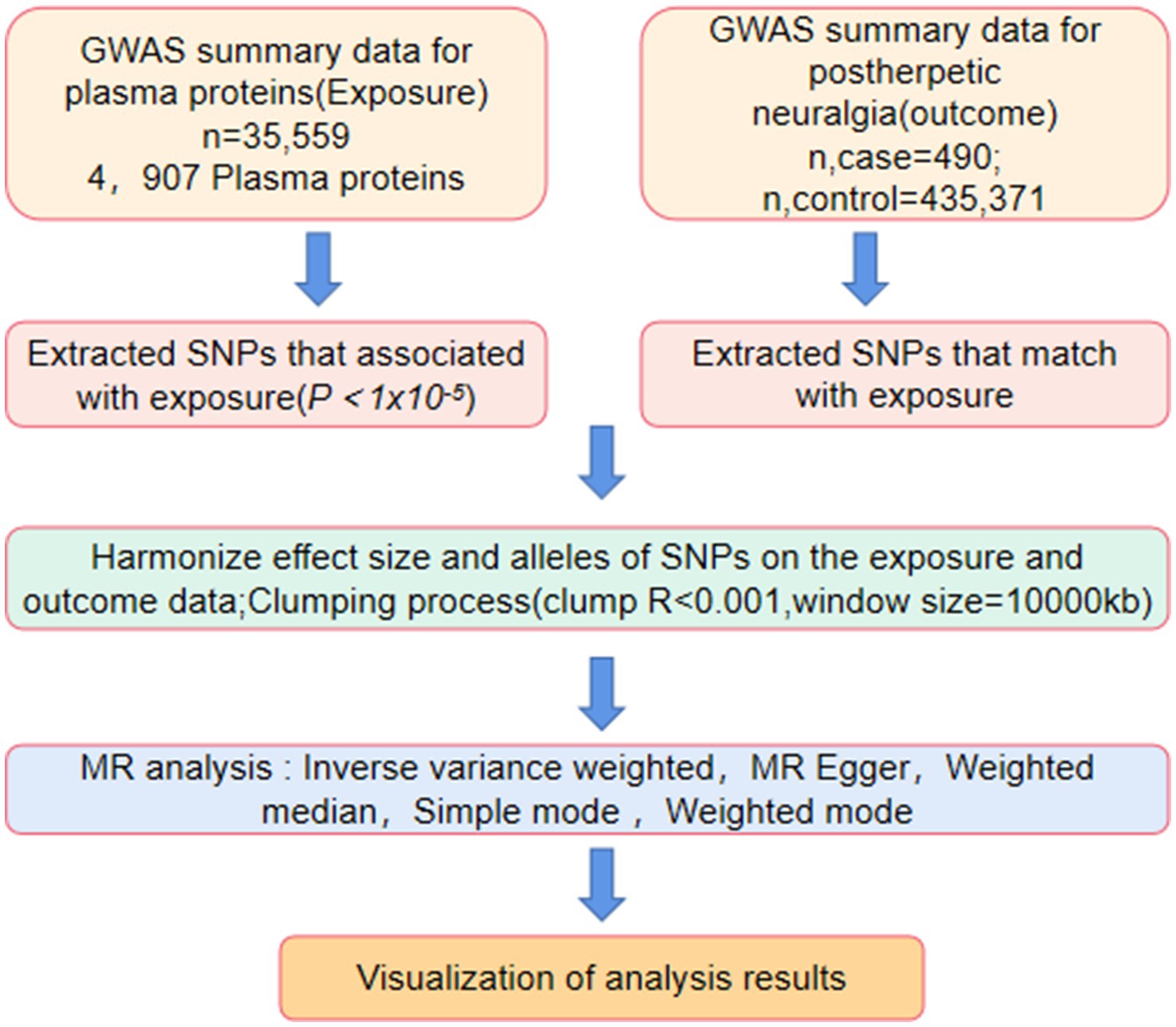 Flowchart illustrating the process of Mendelian Randomization analysis. It begins with GWAS summary data for plasma proteins and postherpetic neuralgia. The process involves extracting SNPs, harmonizing effect sizes, clumping with specified parameters, conducting MR analysis using various methods, and ends with visualization of results.