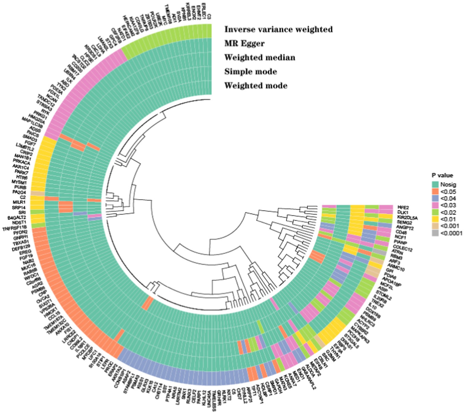 Circular dendrogram showing relationships among variables, with color-coded categories representing five methods: inverse variance weighted, MR Egger, weighted median, simple mode, and weighted mode. P values are indicated by colors, ranging from nonsignificant to <0.0001.