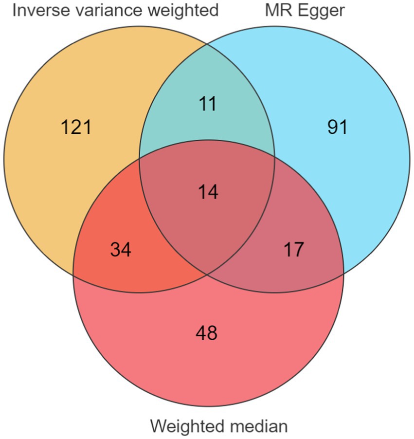 Venn diagram showing three sets: inverse variance weighted with 121, MR Egger with 91, and weighted median with 48. Intersections have values: 11 between inverse variance weighted and MR Egger, 34 between inverse variance weighted and weighted median, 17 between MR Egger and weighted median, and 14 common to all three.