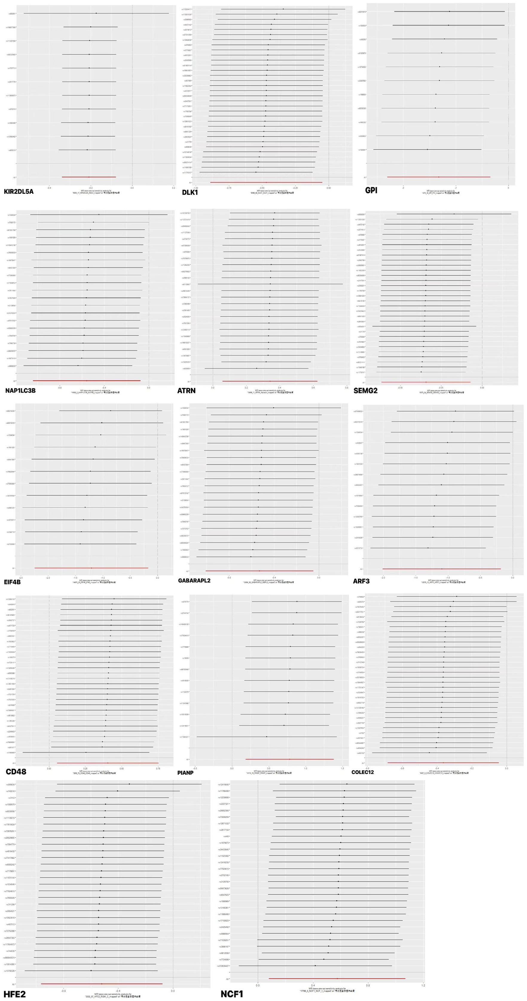 Twelve line plots display the expression levels of different genes including KIR2DL5A, DLK1, GPI, NAP1L3B, ATRN, SEMG2, EIF4B, GABARAPL2, ARF3, CD48, PIANP, and COLEC12. Each plot shows gene expression on the x-axis and frequency on the y-axis, with most data centered around zero. Forest plots showing MR leave-one-out sensitivity analyses for HFE2 gene variants. Each plot displays genetic variants on the y-axis and effect estimates with confidence intervals on the x-axis. The left panel is similar to the right, both highlighting variant consistency.