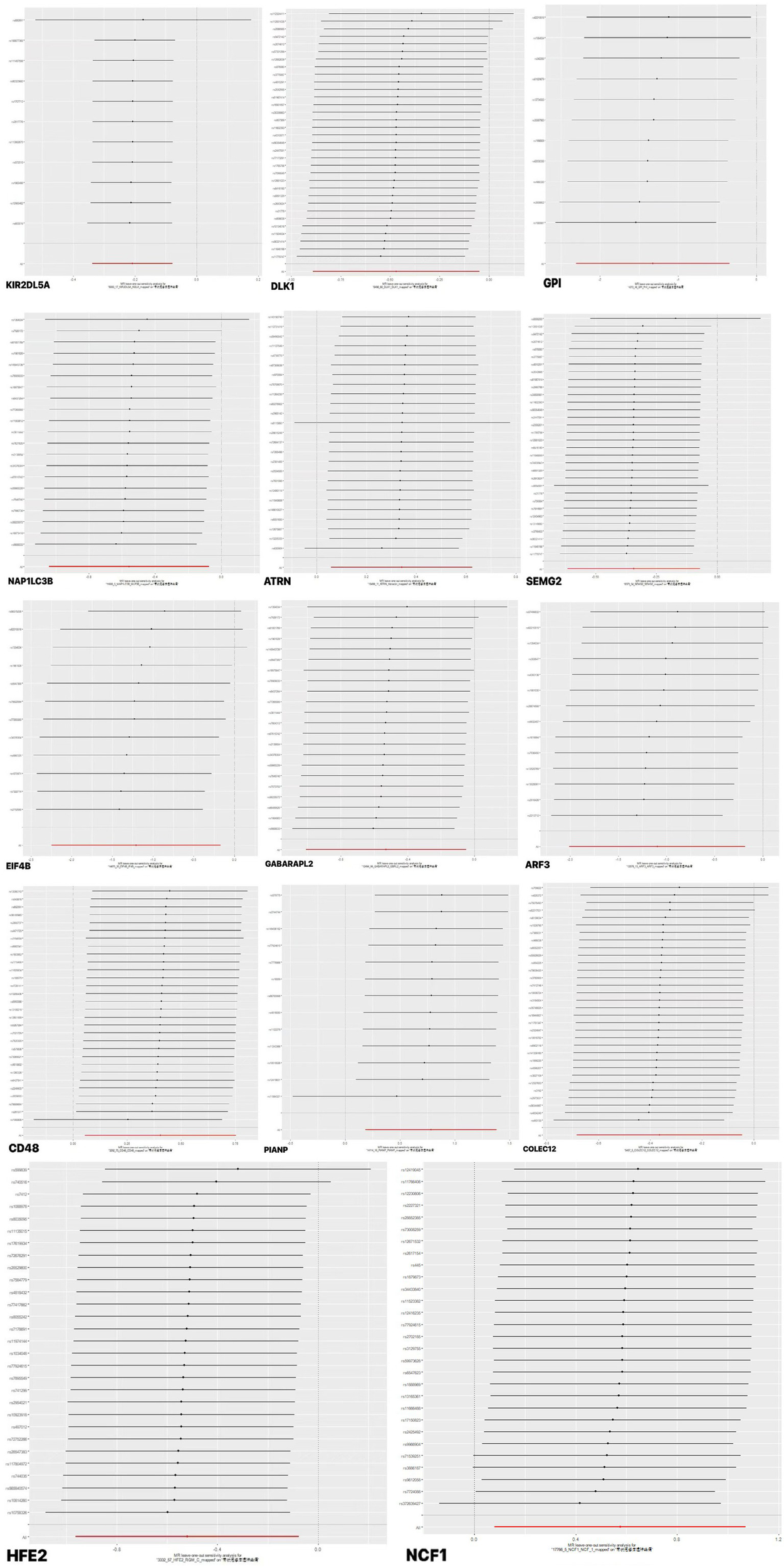 Twelve line plots display the expression levels of different genes including KIR2DL5A, DLK1, GPI, NAP1L3B, ATRN, SEMG2, EIF4B, GABARAPL2, ARF3, CD48, PIANP, and COLEC12. Each plot shows gene expression on the x-axis and frequency on the y-axis, with most data centered around zero. Forest plots showing MR leave-one-out sensitivity analyses for HFE2 gene variants. Each plot displays genetic variants on the y-axis and effect estimates with confidence intervals on the x-axis. The left panel is similar to the right, both highlighting variant consistency.
