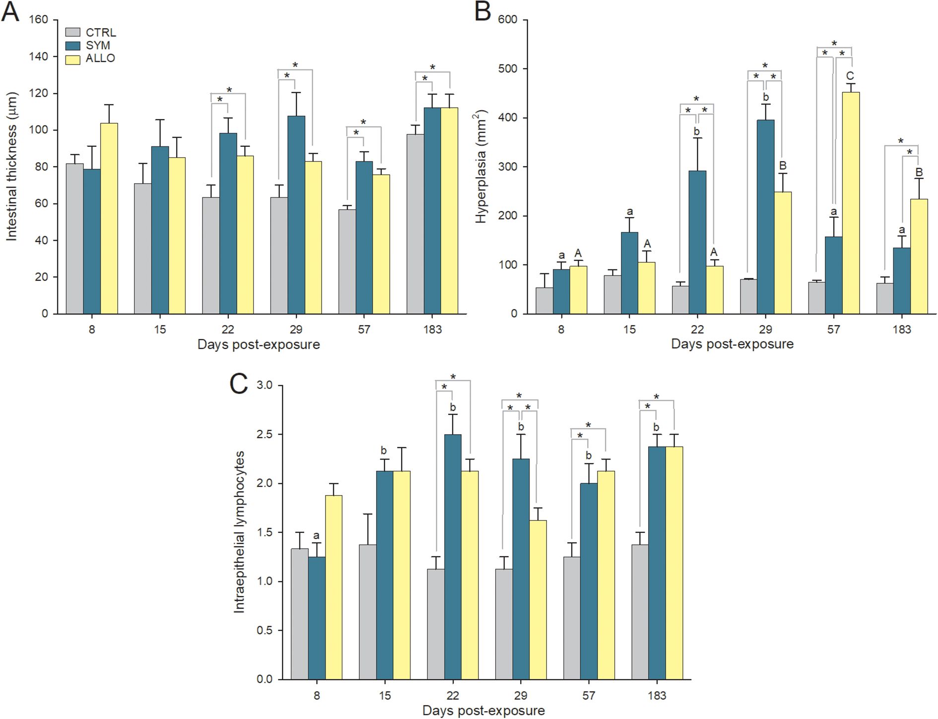 Bar charts labeled A, B, and C show the effects of different treatments (CTRL, SYM, ALLO) on intestinal thickness, hyperplasia, and intraepithelial lymphocytes over days post-exposure (8, 15, 22, 29, 57, 183). SYM generally shows higher values than CTRL and ALLO. Significant differences are marked with asterisks.