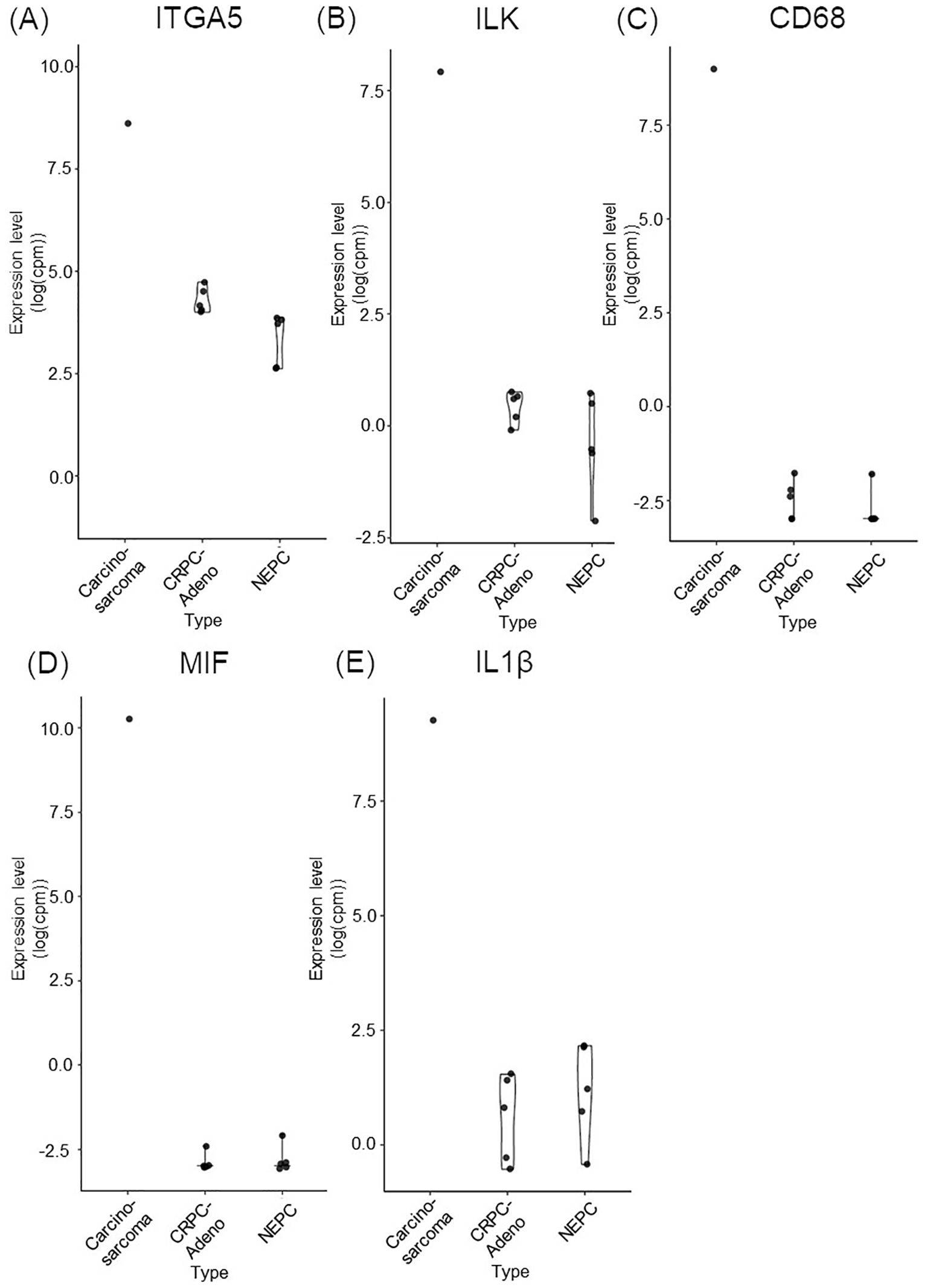 Five violin plots (A-E) showing gene expression levels for ITGA5, ILK, CD68, MIF, and IL1β across carcinoma-sarcoma, CRPC-adeno, and NEPC types. Each plot illustrates expression levels in log CPM, with distinct distribution patterns for each gene type.