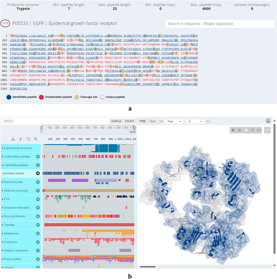 Protein sequence analysis and structure of the epidermal growth factor receptor (EGFR) is shown. Panel a displays annotated sequences with color coding for identifiable, undetectable peptides, cleavage sites, and unique peptides. Panel b features a detailed protein domain visualization and 3D structure model.