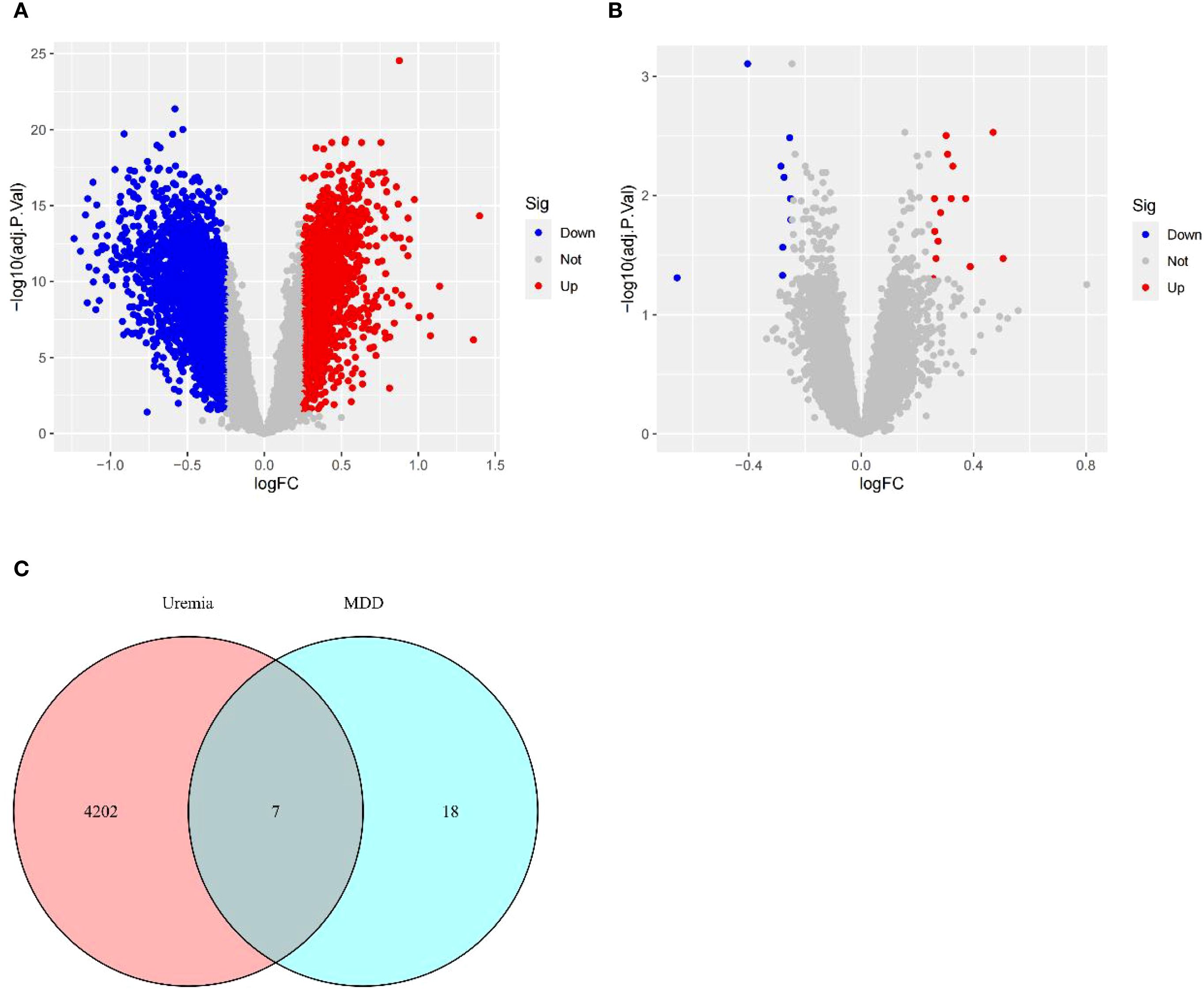 Panel A shows a volcano plot with blue and red dots representing downregulated and upregulated genes, respectively, on a log scale of fold change. Panel B displays a similar plot with fewer significant changes. Panel C is a Venn diagram showing overlap between uremia and major depressive disorder (MDD) with seven genes in common, 4202 unique to uremia, and 18 unique to MDD.