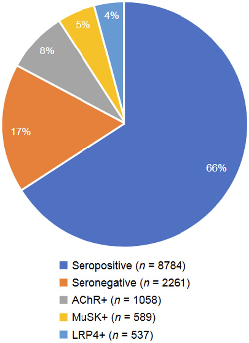 Pie chart showing distribution of seropositive and seronegative groups. Seropositive is 66%, seronegative is 17%, AChR+ is 8%, LRP4+ is 5%, MuSK+ is 4%. Total sample sizes are listed in the legend.
