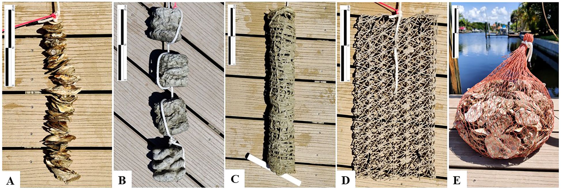 Panel (A) shows a vertical arrangement of drilled oyster shells on steel wire. Panel (B) shows three concrete discs on a rope. Panel (C) shows a jute cement cylinder. Panel (D) shows a biodegradable plastic matrix panel. Panel (E) shows a biodegradable plastic mesh bag filled with oyster shell.