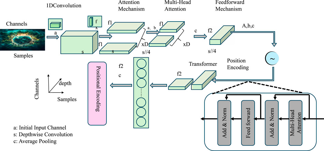 Flowchart illustrating a neural network model with components labeled as 1D Convolution, Attention Mechanism, Multi-Head Attention, and Feedforward Mechanism. It includes elements like channels, samples, initial input channel, depthwise convolution, average pooling, positional encoding, and transformer. Individual sections detail processes like depth, position encoding, and attention mechanisms. Inputs and outputs move through the network with layers of add and norm, feedforward, and multi-head attention.