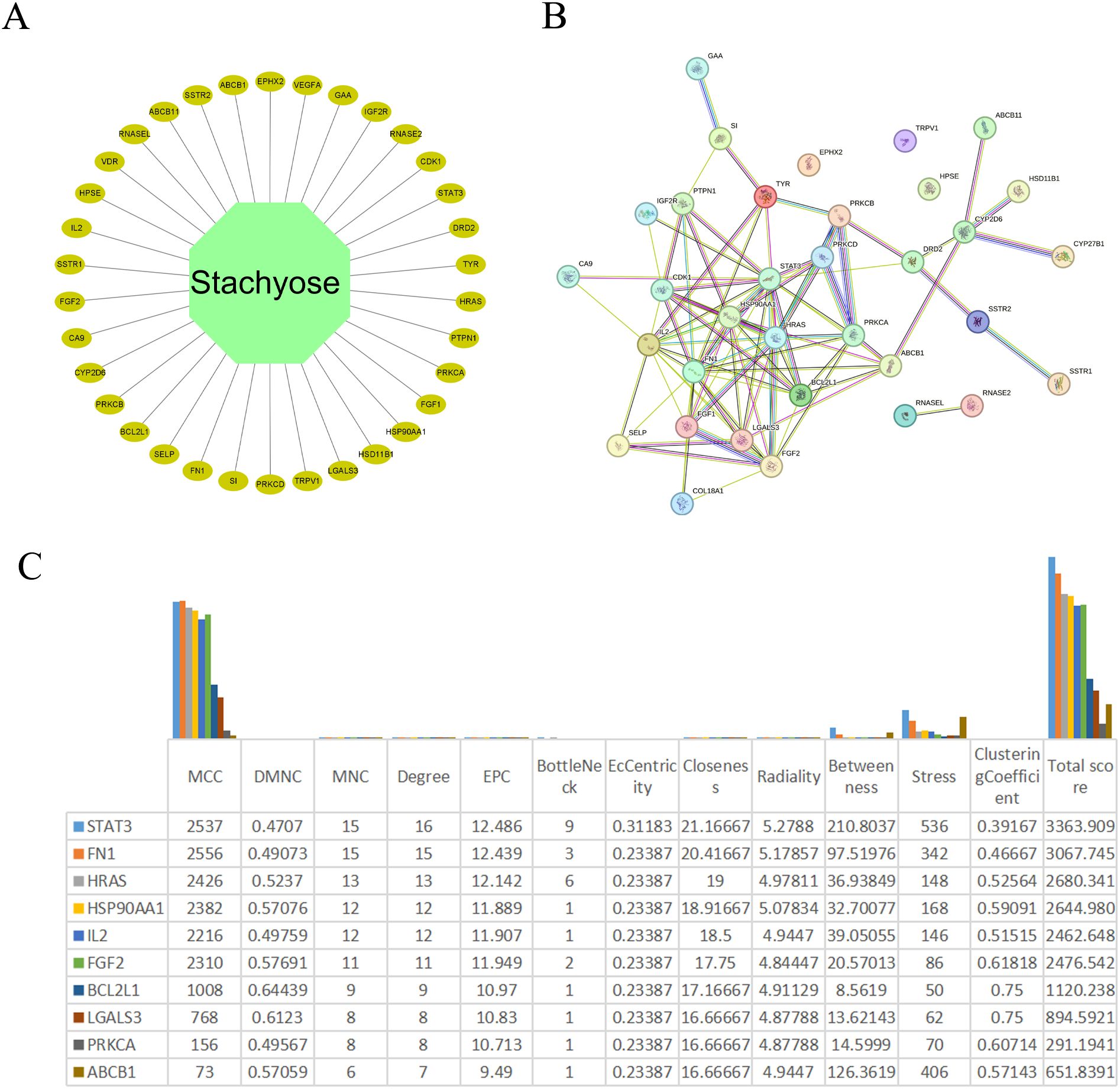 Diagram A shows a network with “Stachyose” at the center, linked to various yellow nodes labeled with gene names. Diagram B displays a complex network of interconnected nodes representing genes. Chart C is a bar graph linked to a table with columns for metrics like MCC, EPC, and degree, listing genes such as STAT3, FN1, and HRAS.