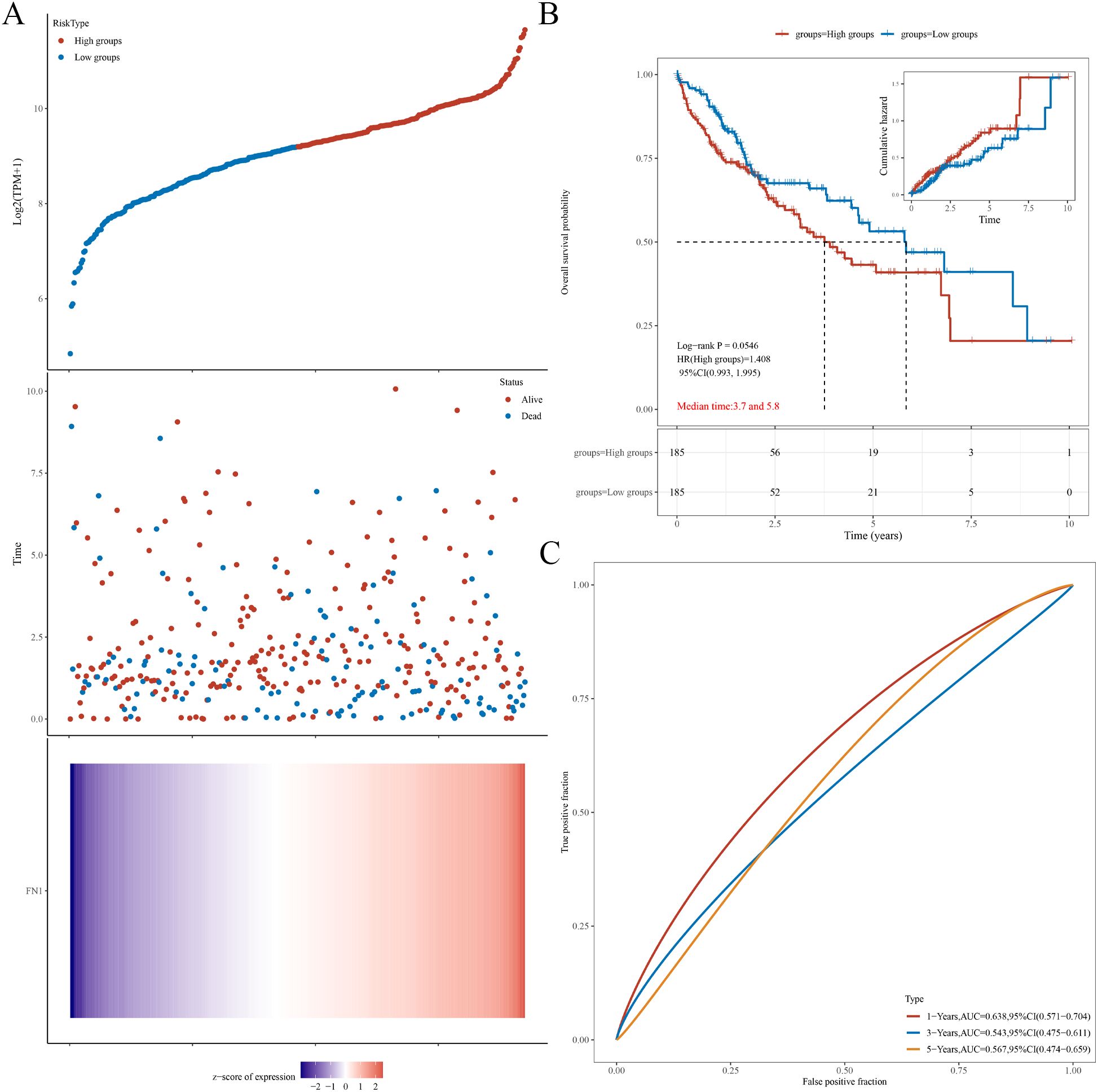 Panel A shows gene expression and survival status, with high and low risk groups represented by red and blue dots, respectively. The top graph plots Log2(TPM+1) against sample numbers, the middle scatter plot displays time versus survival status, and the bottom heatmap shows the Z-score of expression. Panel B presents a Kaplan-Meier survival curve comparing high and low groups, showing median times of 3.7 and 5.8 years, with an inset of the cumulative hazard. Panel C displays a ROC curve for predicting survival at one, three, and five years, with corresponding AUC values.