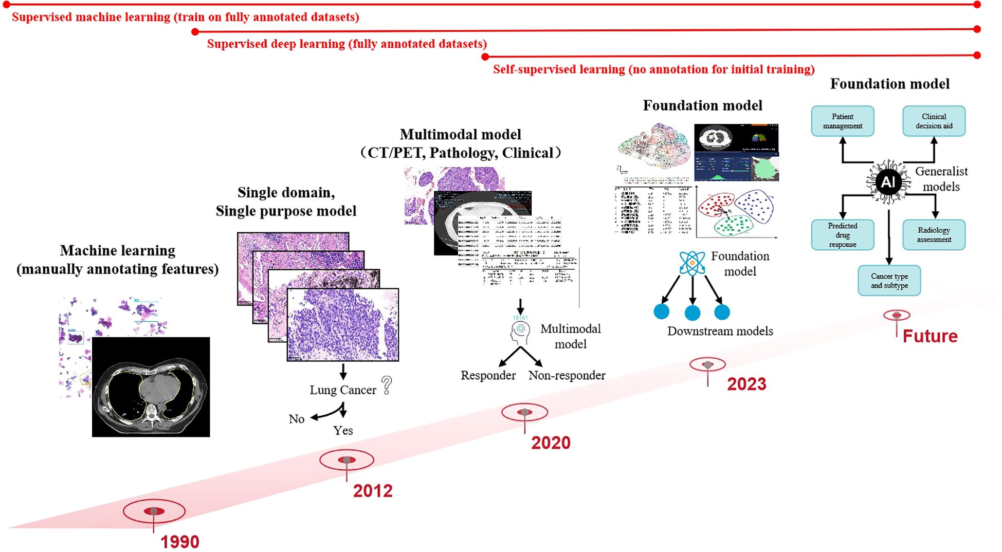 Timeline illustrating the evolution of machine learning in pathology from 1990 to the future. It starts with supervised machine learning in 1990, progresses to single-domain models in 2012, then to multimodal models in 2020, moving to foundation models by 2023. Future prospects include generalist AI models for patient management, clinical decision aids, and other applications. Arrows depict transitions in methodologies, emphasizing improvements in medical analysis and prediction capabilities.
