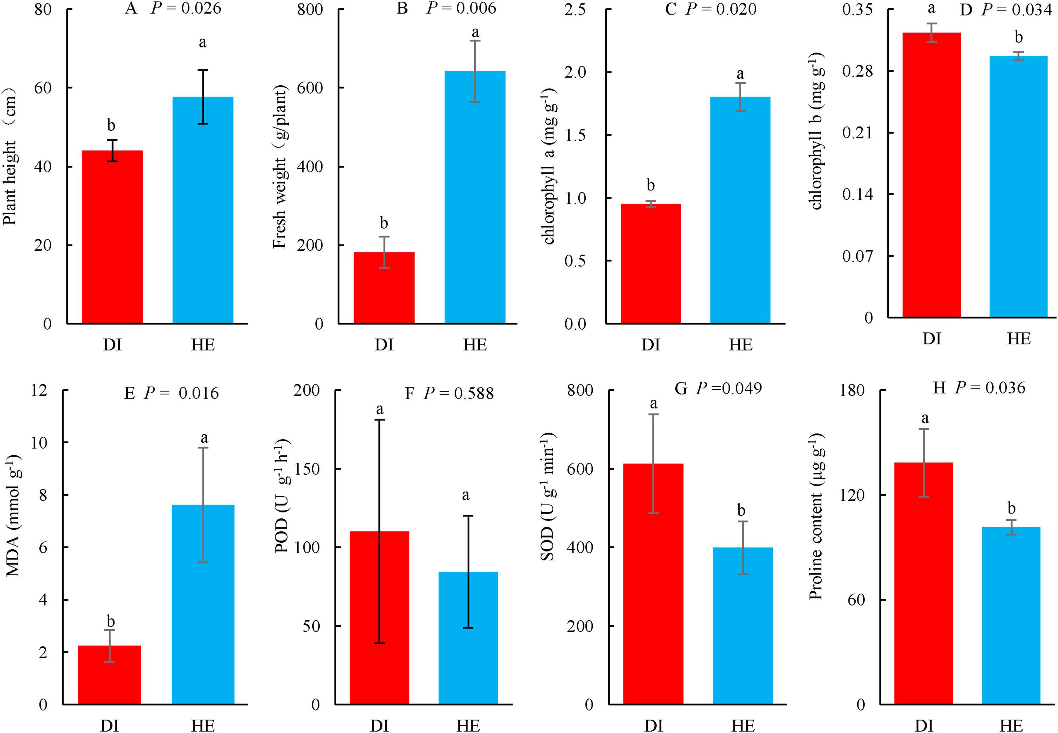 Bar graphs displaying eight variables comparing DI and HE treatments. A: Plant height—HE higher, p=0.026. B: Fresh weight—HE higher, p=0.006. C and D: Chlorophyll a and b—HE higher, p=0.020 and 0.034. E: MDA—HE higher, p=0.016. F: POD—no significant difference, p=0.588. G: SOD—DI higher, p=0.049. H: Proline content—DI higher, p=0.036. Error bars indicate variability; a and b denote statistical significance.