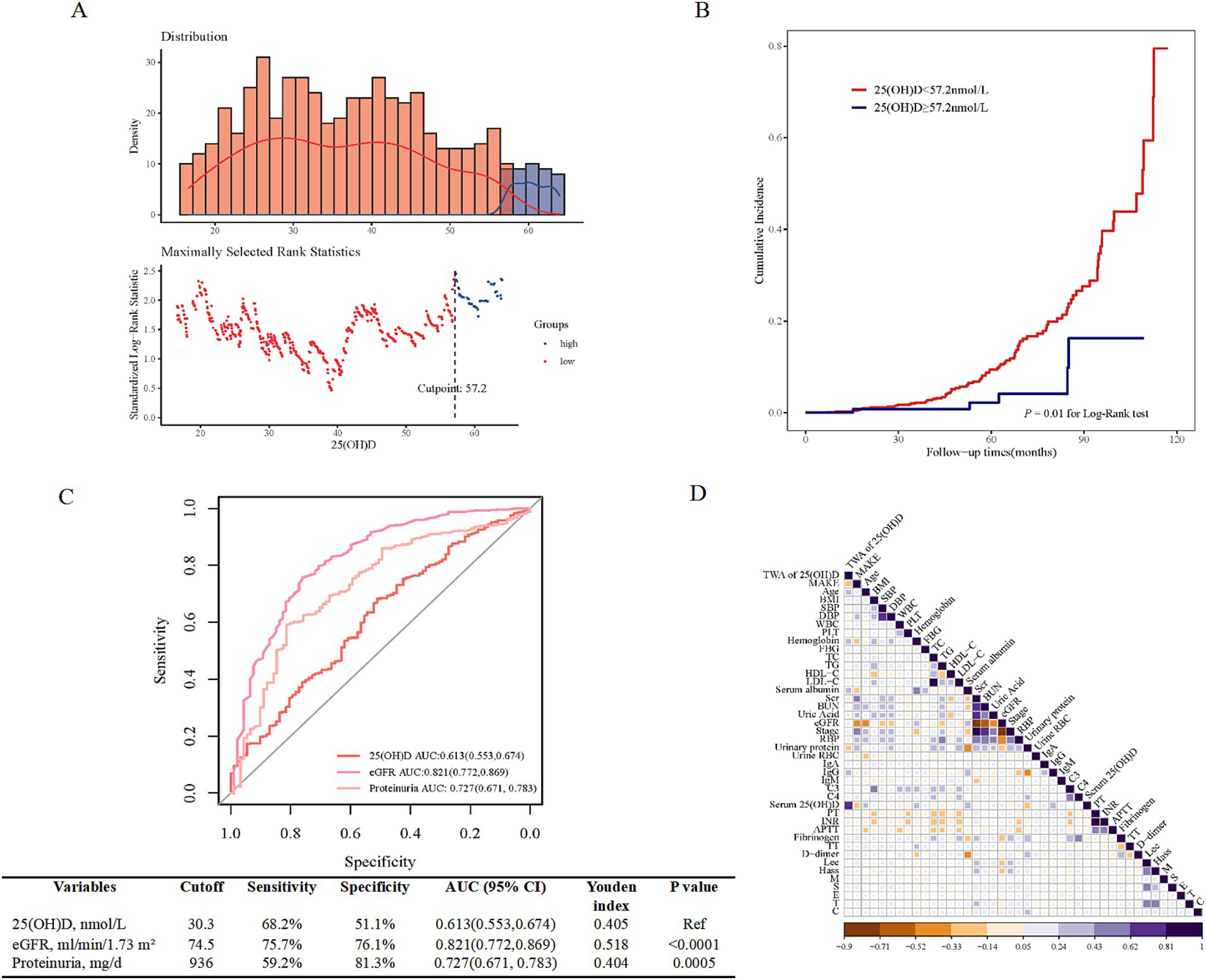 Panel A shows a distribution histogram of 25(OH)D levels with a density curve, highlighting a cutpoint at 57.2 nmol/L. Panel B displays a cumulative incidence curve comparing high and low 25(OH)D levels, showing significant differences over time with a P-value of 0.01. Panel C features ROC curves for 25(OH)D, eGFR, and proteinuria, with various AUC values. Panel D presents a correlation matrix with variables like serum albumin and fibrogen plotted, using color coding to indicate correlation strength.
