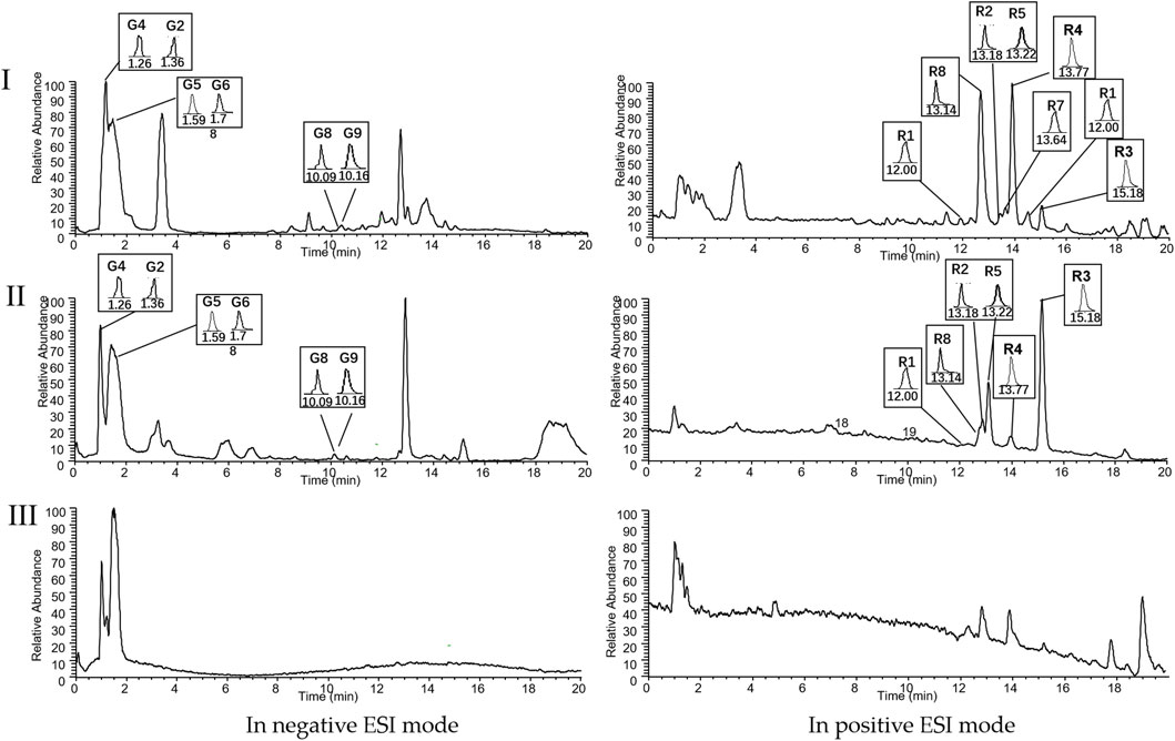 Three sets of chromatograms depict the relative abundance over time in both negative and positive electrospray ionization (ESI) modes. Insets provide details on peaks labeled G2 to G9 and R1 to R8, with specific times indicated. Different peaks show variance in abundance across the graphs. Labels I and II represent different sets, while III shows a single chromatogram in negative ESI mode, illustrating peak behavior differently compared to others in positive mode.