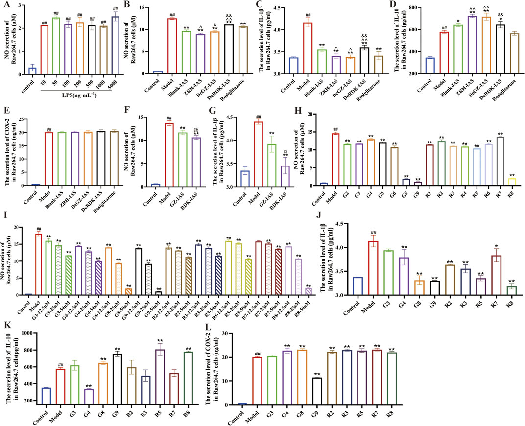 Bar graphs labeled A to L display various secretion levels in RAW264.7 cells under different conditions, including control, model, and various treatments. Graphs A, B, F, and I show nitric oxide secretion, C and J display IL-one beta, D and K present IL-ten, and E and L show COX-two levels. Significant differences are marked with asterisks and hashes, indicating statistical relevance. Colors and patterns distinguish different experimental groups.