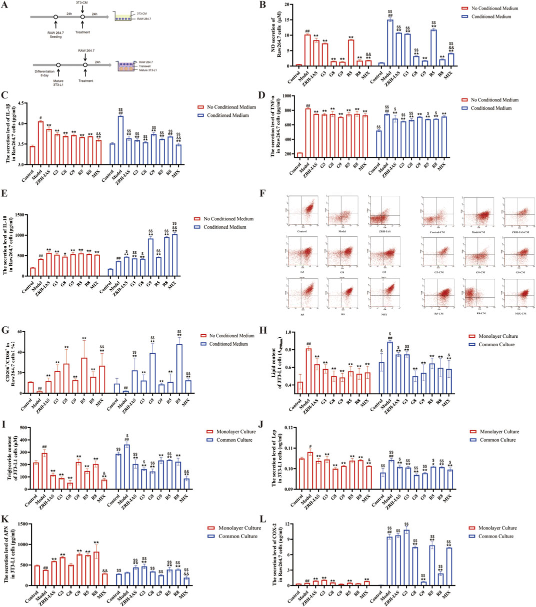 Diagram depicting multiple scientific data analyses. Panel A shows experimental timelines. Panels B to E and G to L display various bar graphs comparing conditions labeled