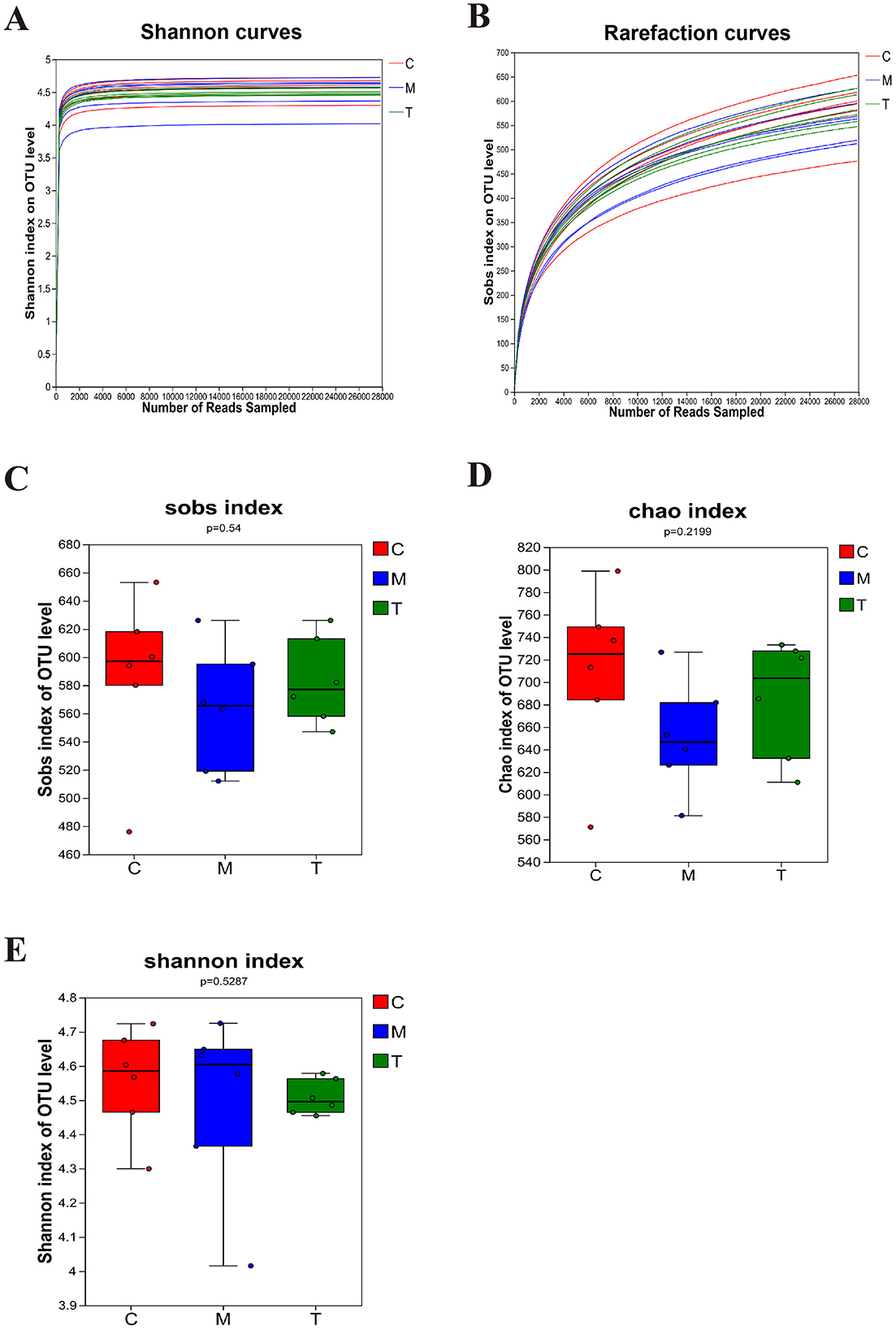 Five graphs depict diversity measures. Graph A shows Shannon curves depicting diversity across read samples for groups C, M, T. Graph B illustrates rarefaction curves for the same groups, assessing observed species richness. Graph C presents a box plot of the Sobs index at the OTU level with p = 0.54. Graph D shows a box plot for the Chao index with p = 0.2199. Graph E displays a box plot for the Shannon index with p = 0.5287. Legends identify groups C, M, T in red, blue, and green.