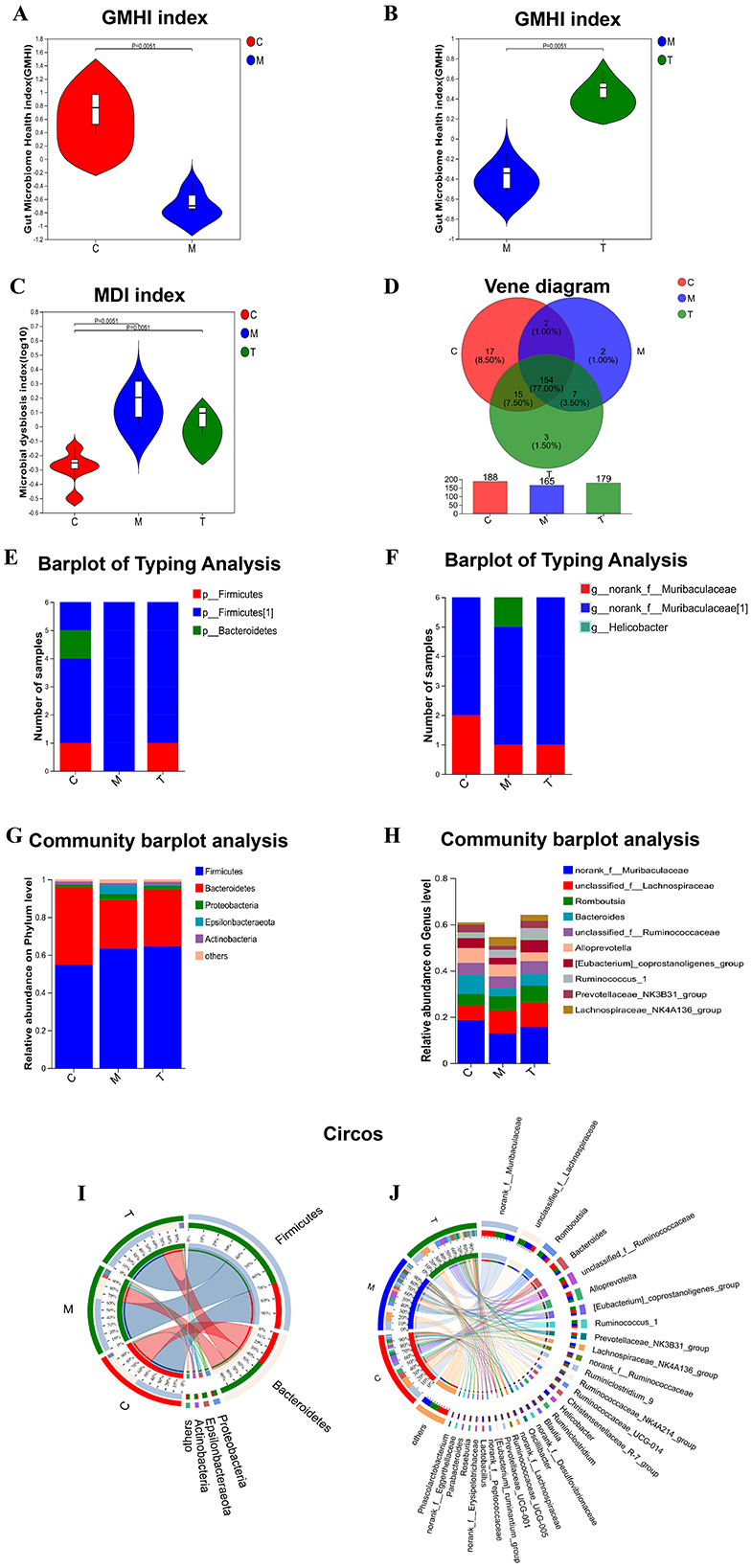 Violin plots (A–C) display GMHI and MDI indices across groups C, M, and T with statistical significance indicated. A Venn diagram (D) shows overlaps in data sets, with a bar plot below displaying quantities for each group. Bar plots (E–H) illustrate sample counts and relative abundances for various microbial groups across the three conditions. Circos plots (I–J) depict complex relationships and interactions between microbial taxa, highlighting connections and relative abundances within groups C, M, and T.