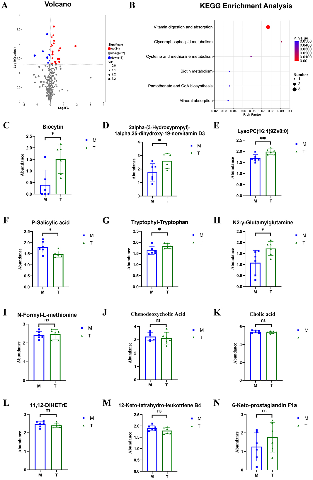 Composite image with multiple charts showing metabolomic data analysis: A) Volcano plot highlighting significant metabolites. B) KEGG enrichment analysis scatter plot, indicating overrepresented metabolic pathways with varying P-values. C–O) Bar graphs comparing the abundance of specific metabolites in two groups (M, T), with statistical significance denoted by asterisks or “ns” for not significant. Graphs illustrate differences in metabolite levels and pathway associations.