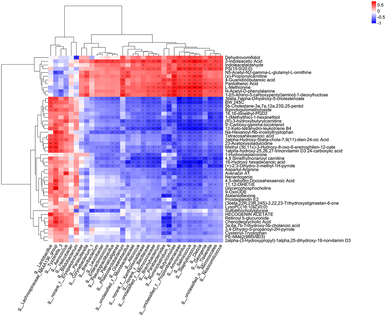 Heatmap depicting clustered data, displaying a range of metabolite interactions with bacterial genera. Rows represent metabolites, and columns represent bacterial genera, color-coded from red (positive correlation) to blue (negative correlation). Dendrograms on both axes illustrate hierarchical clustering.