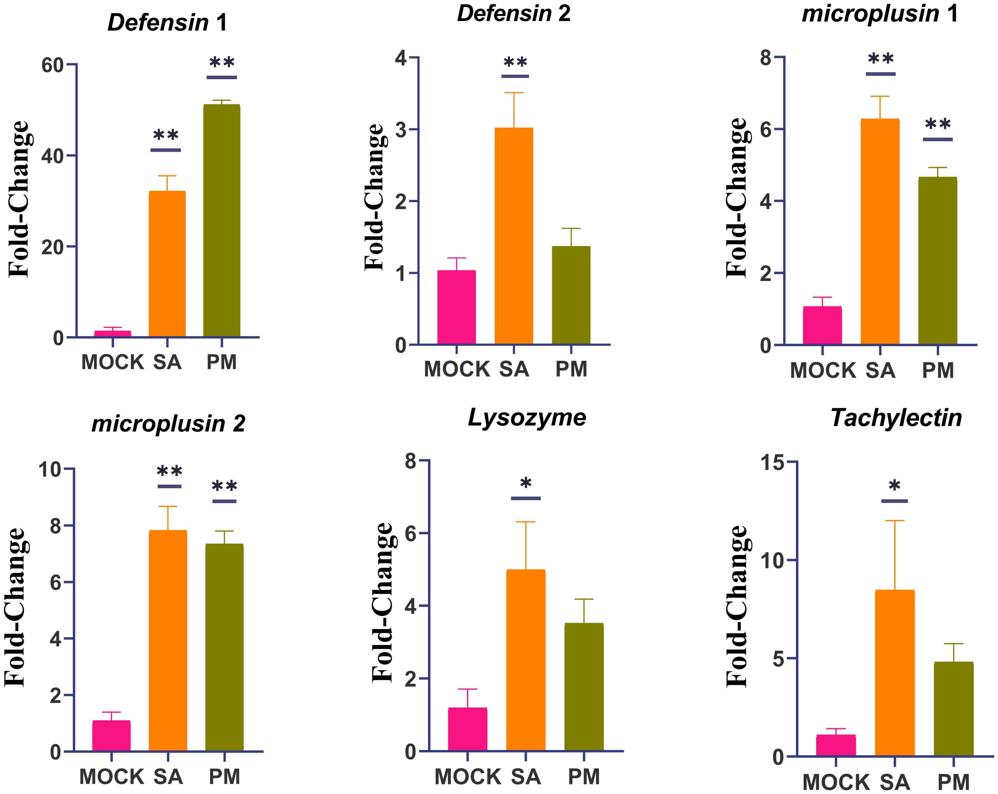 Bar graphs showing relative expression levels of six proteins: Defensin 1, Defensin 2, Microplusin 1, Microplusin 2, Lysozyme, and Tachylectin across three conditions: MOCK, SA, PM. Each graph highlights significant differences with asterisks. Defensin 1, Microplusin 1, and Microplusin 2 show highest expression in PM and SA. Defensin 2, Lysozyme, and Tachylectin are most expressed in SA.