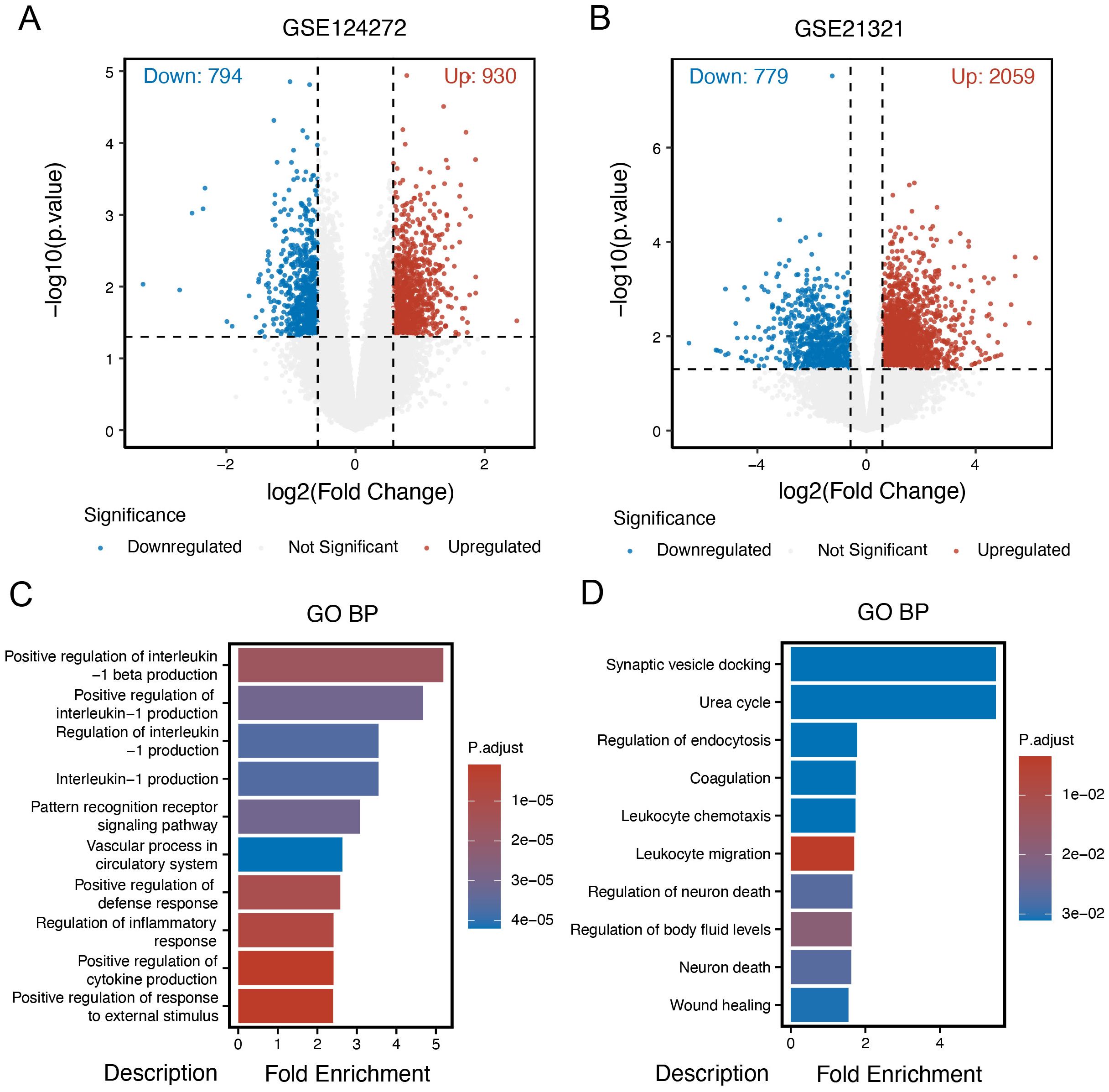 Volcano plots and bar graphs illustrate gene expression analysis and gene ontology. Plot A and B display downregulated and upregulated genes for datasets GSE124272 and GSE21321. Bar graphs C and D show gene ontology biological processes with fold enrichment, highlighting interleukin production and synaptic vesicle docking, respectively. Color scales indicate significance levels.