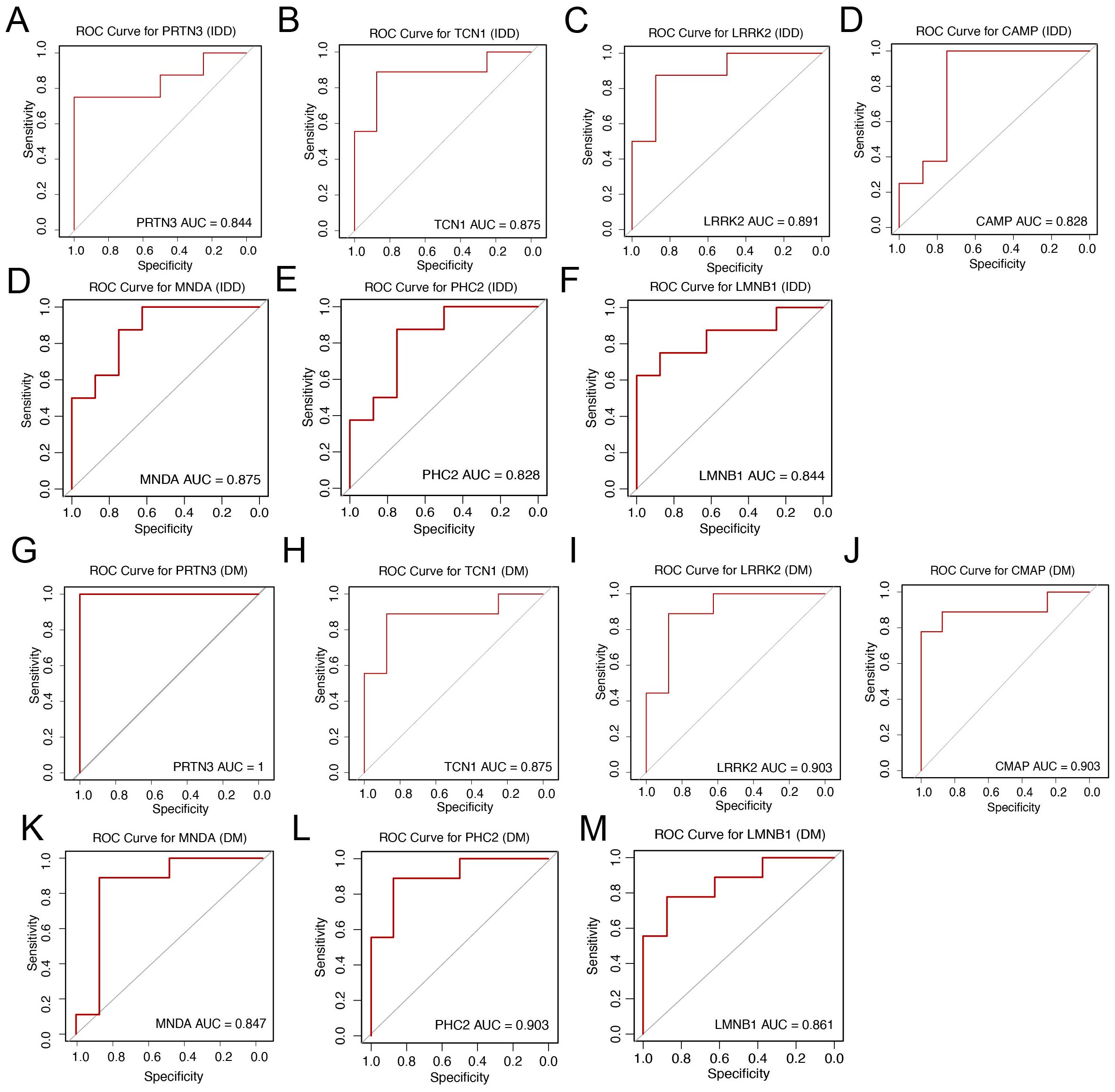 Thirteen ROC curve graphs labeled A to M comparing specificity and sensitivity for different proteins. Each graph includes the protein name, cohort type (IDD or DM), and AUC value. A shows PRTN3 with AUC 0.844; B, TCN1 with AUC 0.875; C, LRRK2 with AUC 0.891; D, CAMP with AUC 0.828; E, PHC2 with AUC 0.828; F, LMNB1 with AUC 0.844; G, PRTN3 with AUC 1.0; H, TCN1 with AUC 0.875; I, LRRK2 with AUC 0.903; J, CMAP with AUC 0.903; K, MNDA with AUC 0.847; L, PHC2 with AUC 0.903; M, LMNB1 with AUC 0.861. Each graph has a diagonal line for reference.