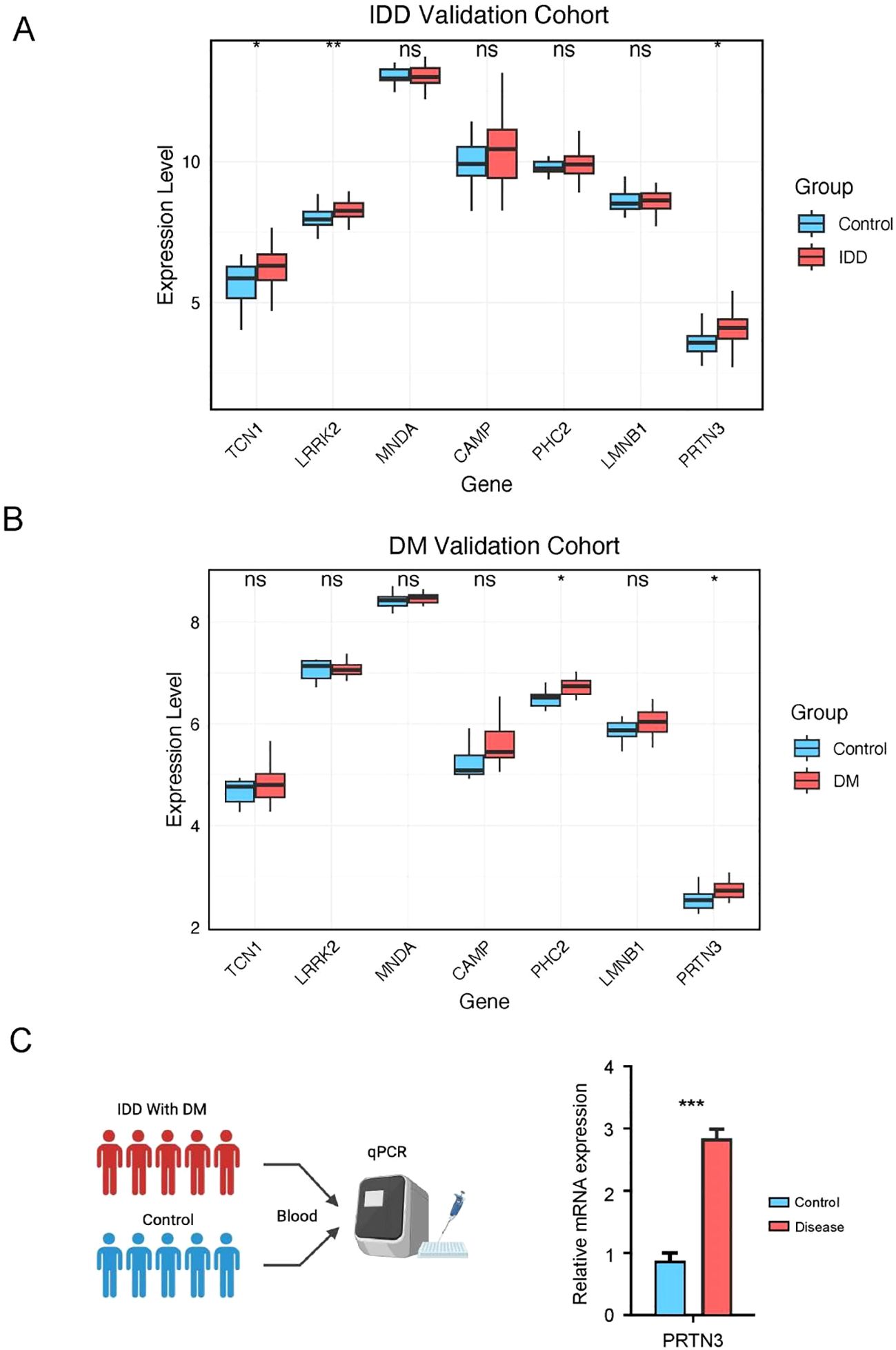 Graph A shows a boxplot of gene expression levels in the IDD validation cohort, comparing control and IDD samples. Graph B shows similar data for the DM validation cohort. Graph C illustrates a qPCR workflow, comparing relative mRNA expression of PRTN3 in IDD with DM versus control groups, indicating higher expression in the disease group.