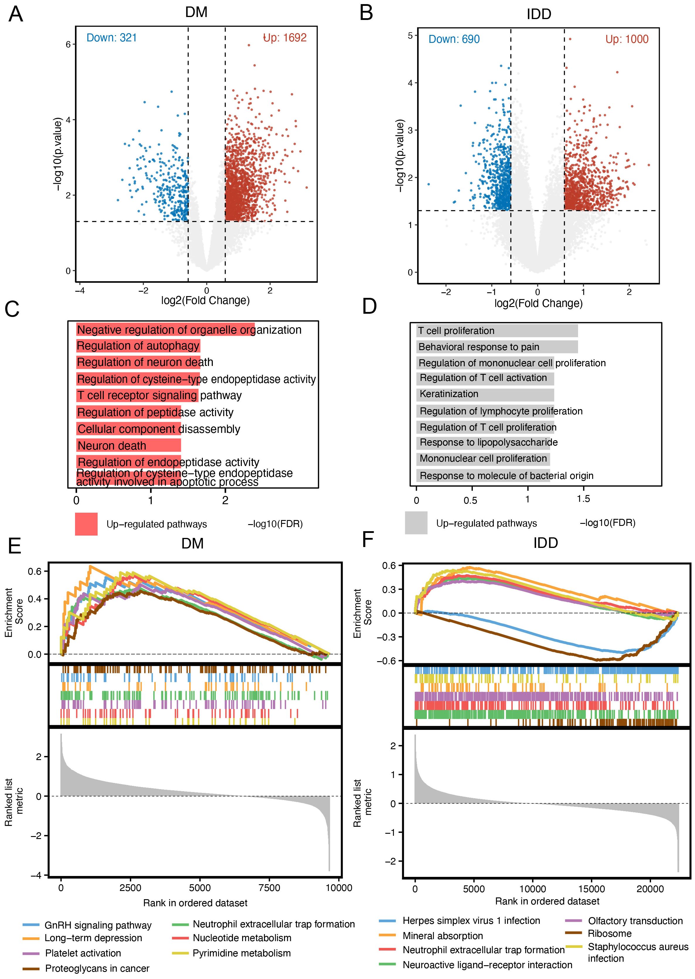 Charts A and B show volcano plots indicating differentially expressed genes in DM and IDD. Plots C and D display upregulated pathways with negative log FDR values. Plots E and F present enrichment score graphs for various pathways with corresponding color legends, showing rankings in ordered datasets for DM and IDD.