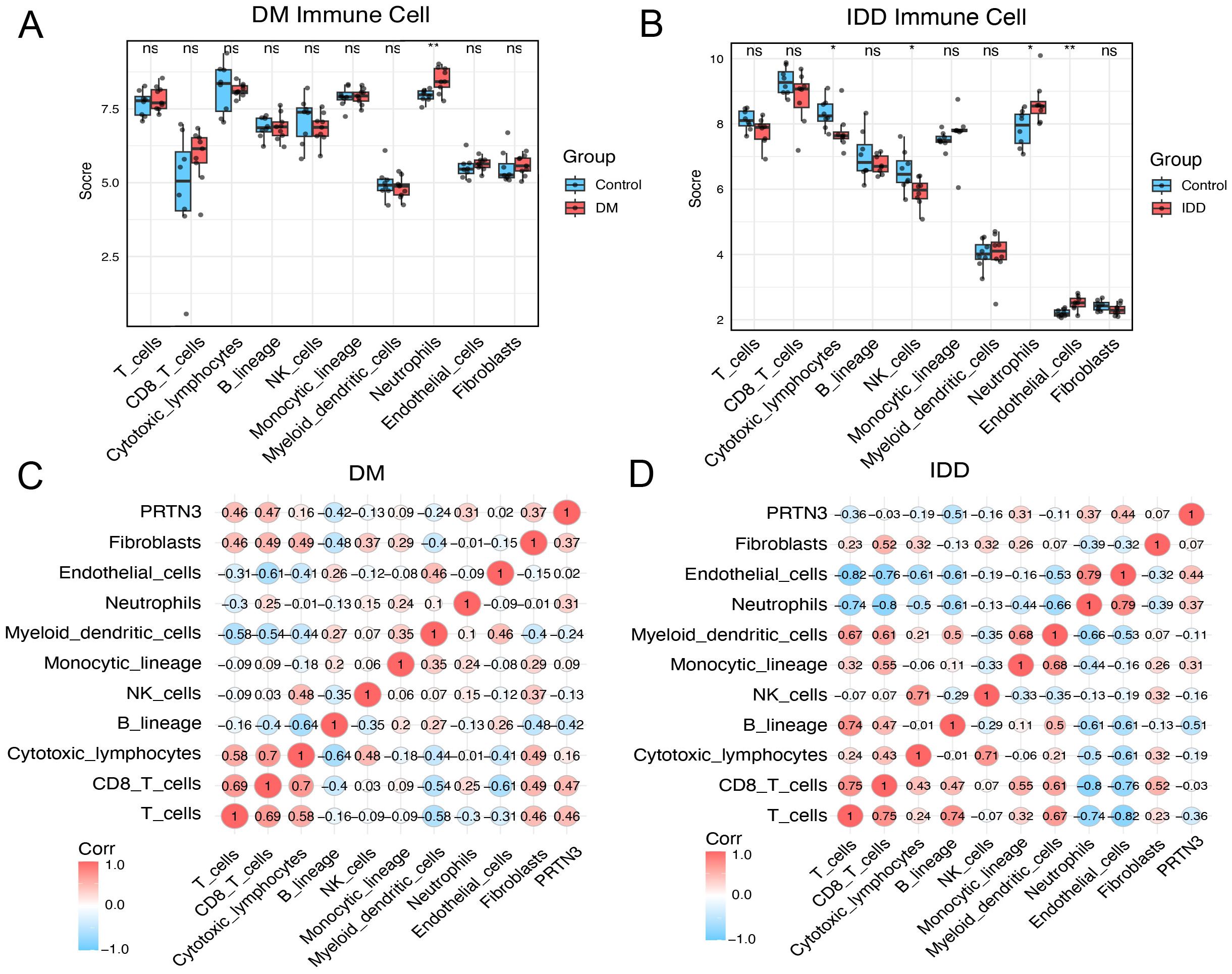 Charts compare immune cell scores for DM and IDD groups versus controls. (A) and (B) show box plots with immune cell types on the x-axis and scores on the y-axis. (C) and (D) display correlation matrices for DM and IDD, showing relationships among cell types with color-coded correlation values.