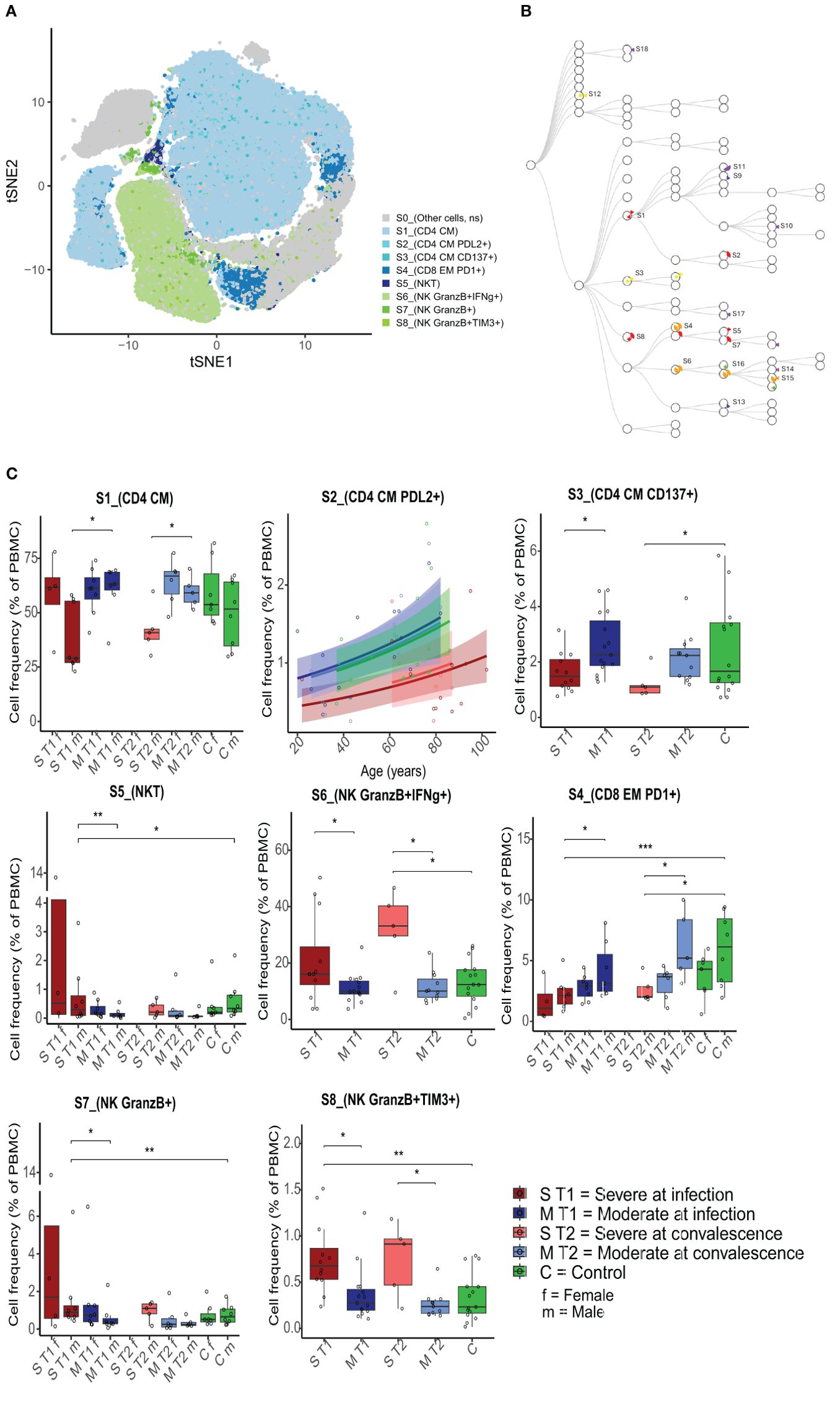 Clustered tSNE plots (A) depict cell distributions among various cell states, indicated by different colors. B) Shows a hierarchical tree of cell states with group distributions in the pie chart. C) Displays box plots of cell frequency percentages across conditions such as severe at infection, moderate, severe at convalescence, and control, highlighting significant differences with asterisks. The legend details group associations, and axes indicate age and cell frequency in percent.