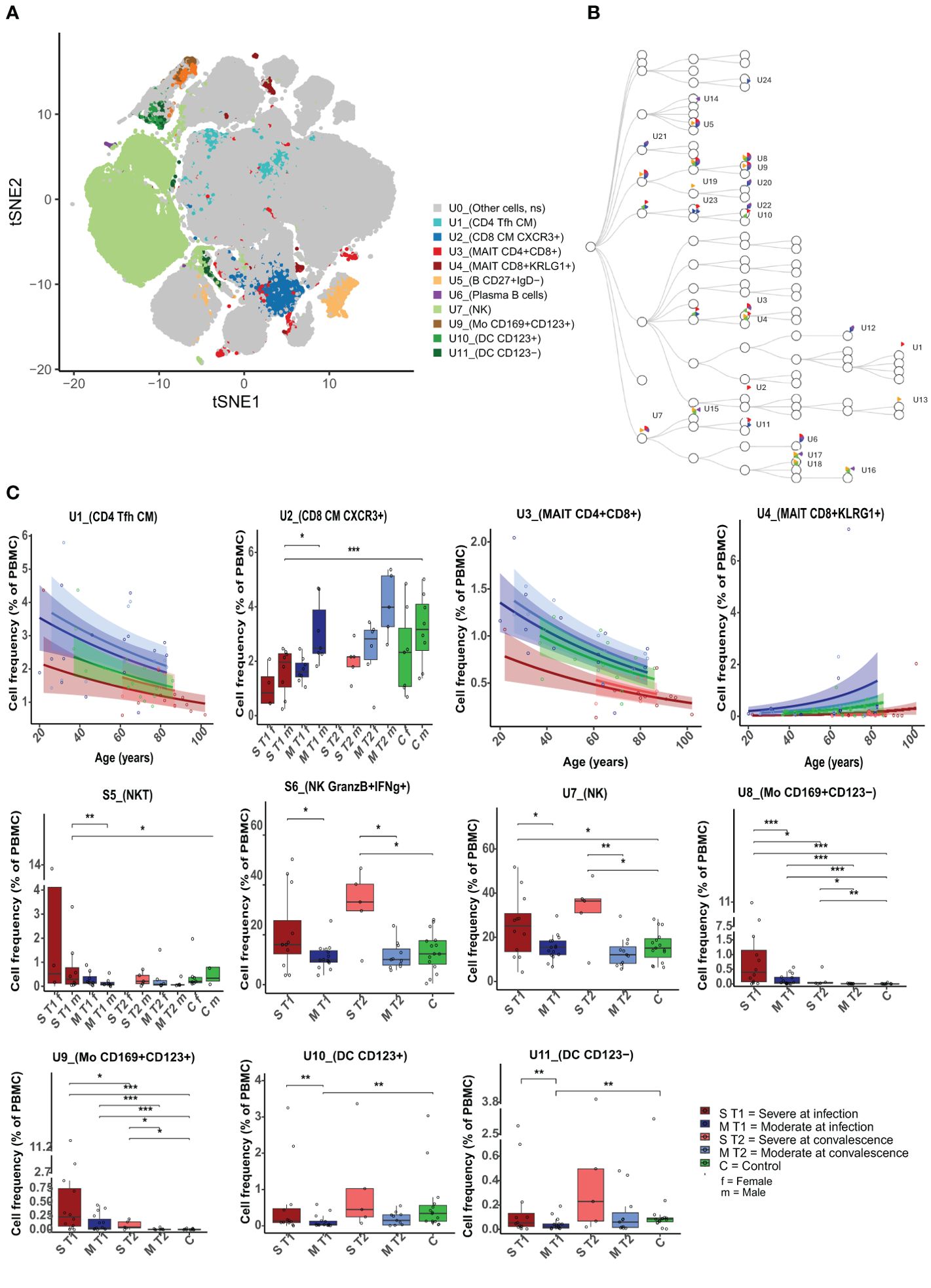 Panel A displays a principal component analysis scatter plot with ellipses representing five groups: Severe T1, Moderate T1, Severe T2, Moderate T2, and Control. Panel B shows a box plot comparing CD4 gene expression levels across the same groups, with significant differences marked by asterisks. Panel C includes a volcano plot highlighting gene expression differences between various group comparisons, with upregulated and downregulated genes marked in red and blue, respectively.