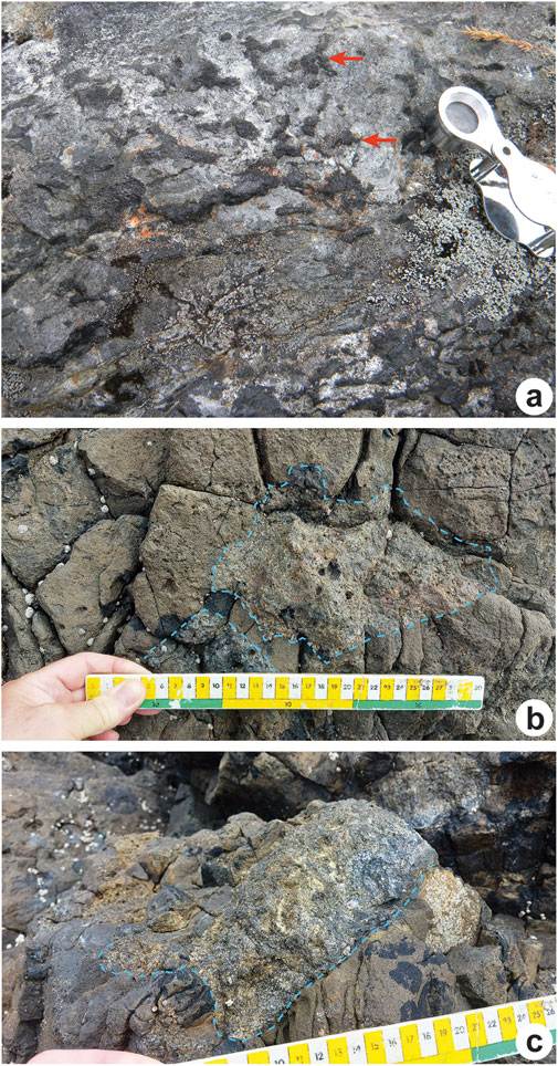 Three images of rock formations with measurement tools. Top image shows a textured rock surface with red arrows indicating specific features, alongside a magnifying tool. Middle image features a hand holding a tape measure near a rock with a distinct area outlined by blue dashed lines. Bottom image shows a rock surface with a highlighted area, also outlined in blue, with a tape measure visible at the bottom.
